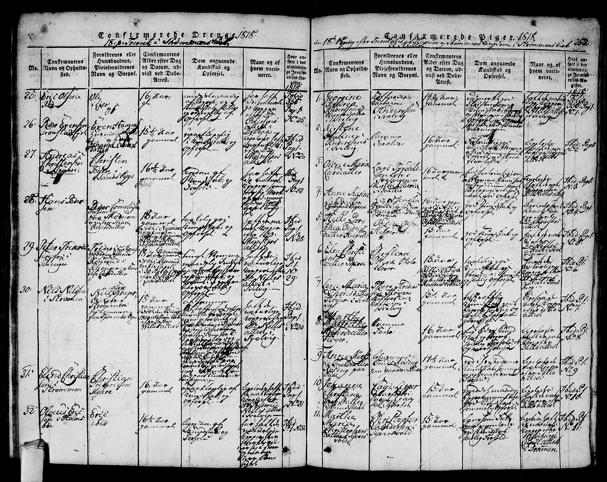 Hurum kirkebøker, AV/SAKO-A-229/F/Fa/L0009: Parish register (official) no. 9, 1816-1826, p. 252