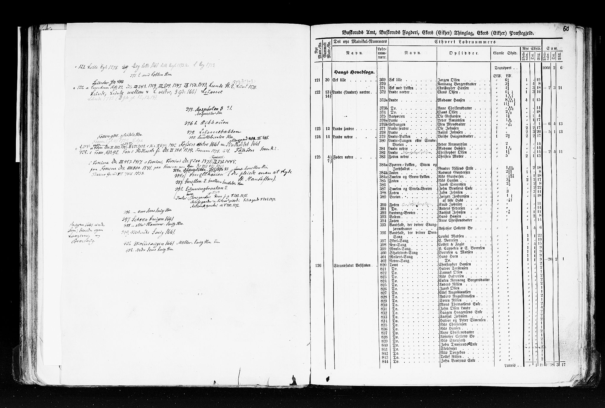 Rygh, AV/RA-PA-0034/F/Fb/L0005: Matrikkelen for 1838 - Buskerud amt (Buskerud fylke), 1838, p. 60a