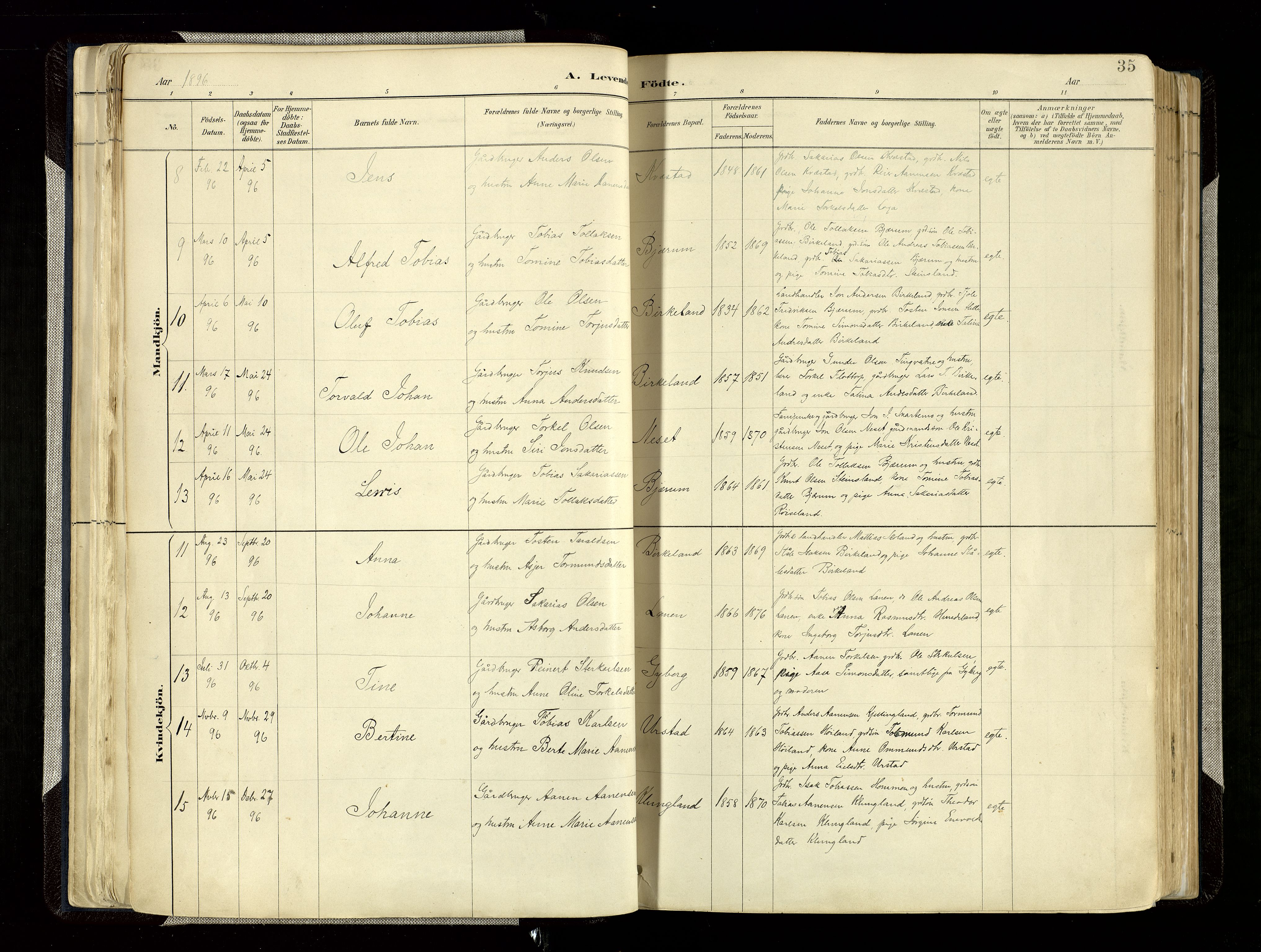 Hægebostad sokneprestkontor, AV/SAK-1111-0024/F/Fa/Faa/L0006: Parish register (official) no. A 6, 1887-1929, p. 35