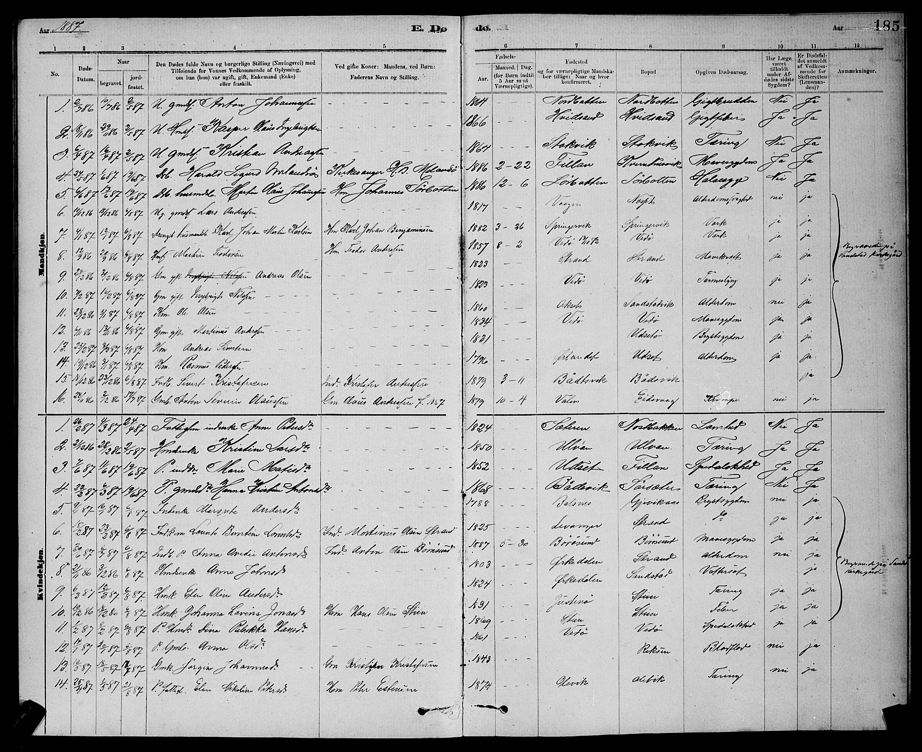 Ministerialprotokoller, klokkerbøker og fødselsregistre - Sør-Trøndelag, SAT/A-1456/637/L0562: Parish register (copy) no. 637C03, 1883-1898, p. 185