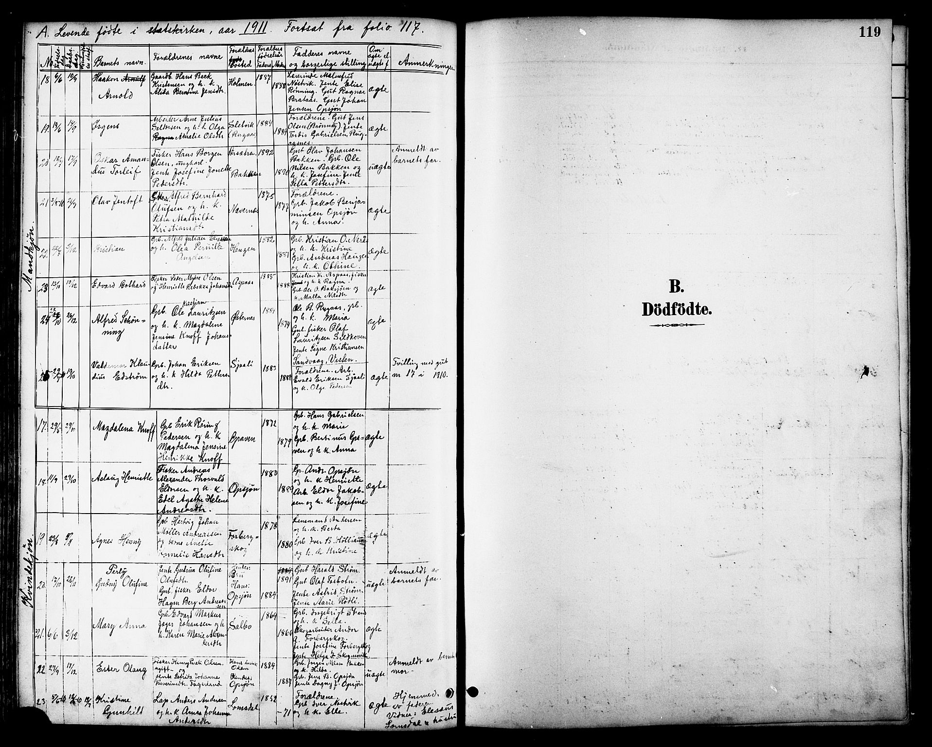 Ministerialprotokoller, klokkerbøker og fødselsregistre - Nordland, SAT/A-1459/814/L0230: Parish register (copy) no. 814C03, 1884-1911, p. 119