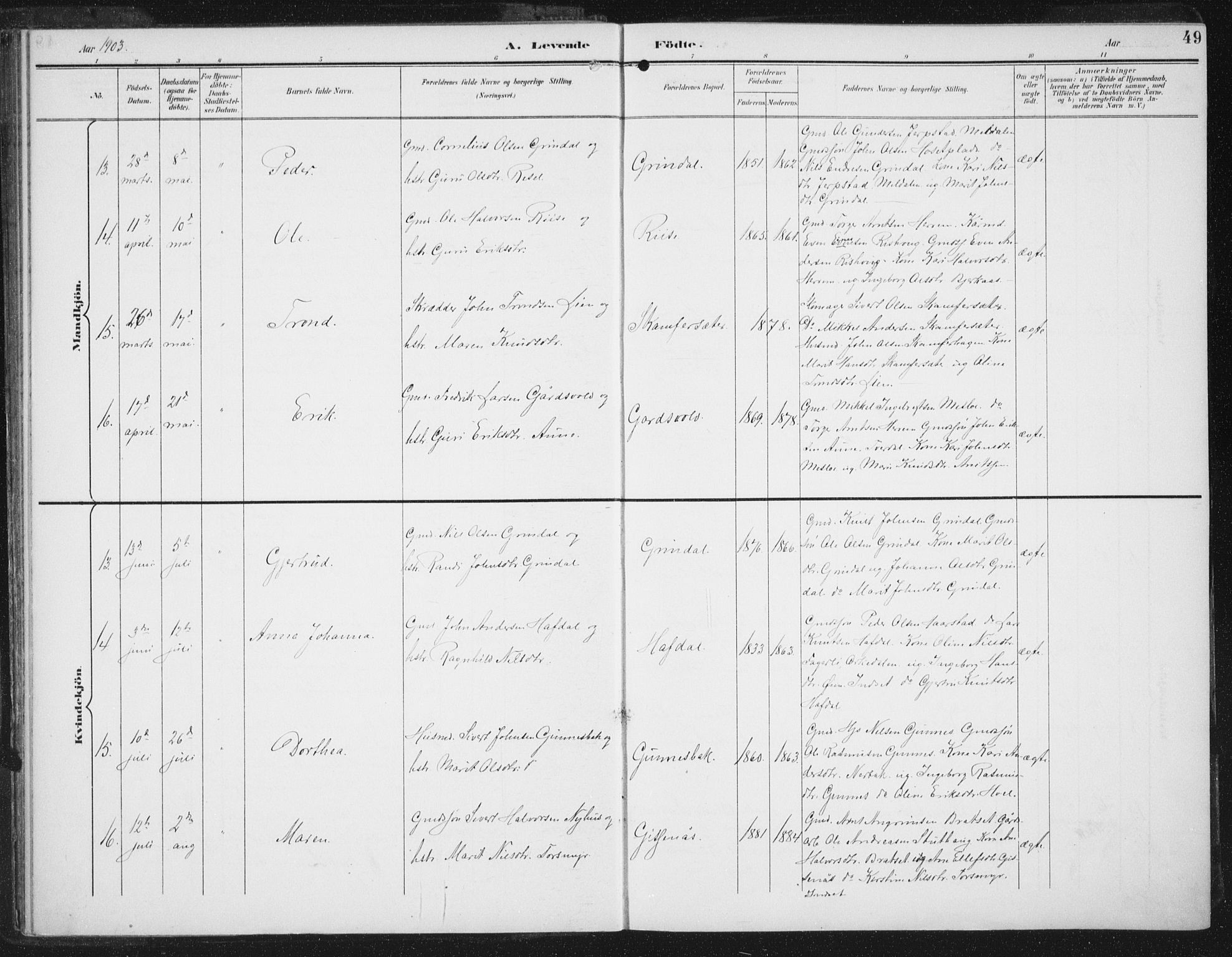 Ministerialprotokoller, klokkerbøker og fødselsregistre - Sør-Trøndelag, AV/SAT-A-1456/674/L0872: Parish register (official) no. 674A04, 1897-1907, p. 49