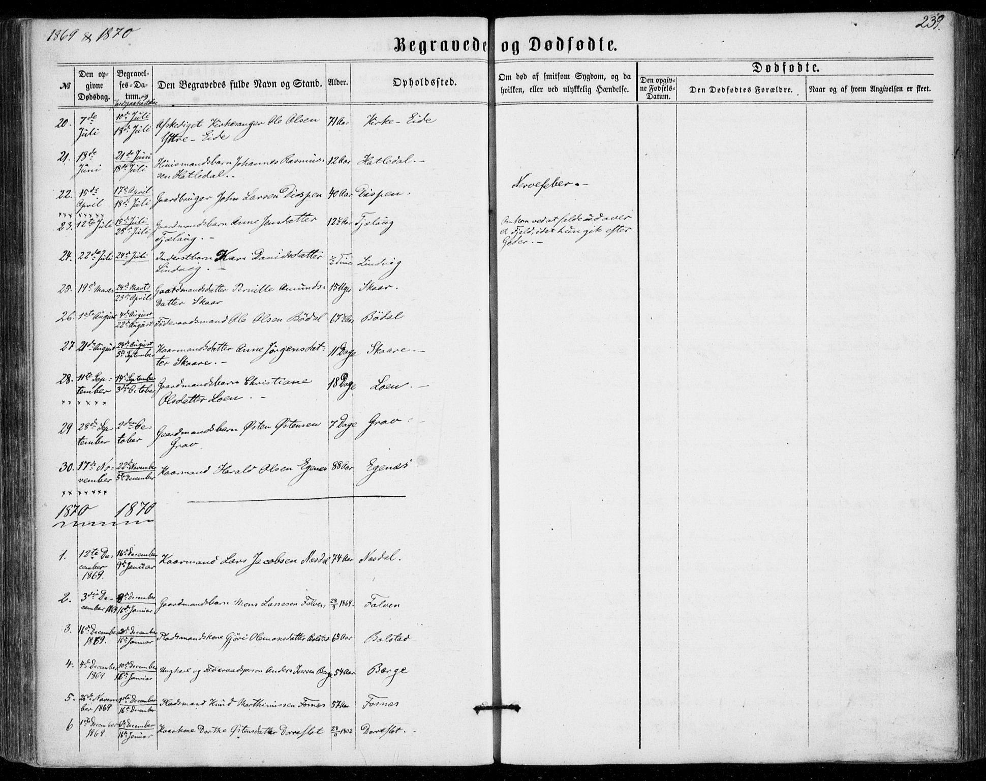 Stryn Sokneprestembete, SAB/A-82501: Parish register (official) no. A 3, 1862-1877, p. 239