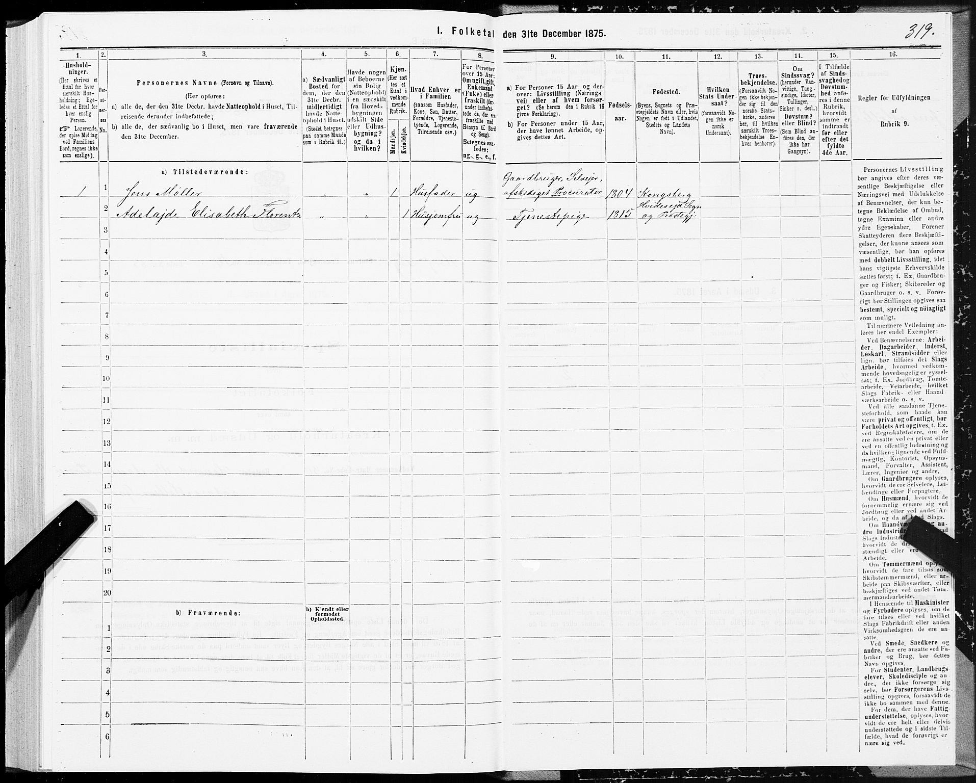 SAT, 1875 census for 1648P Støren, 1875, p. 5319