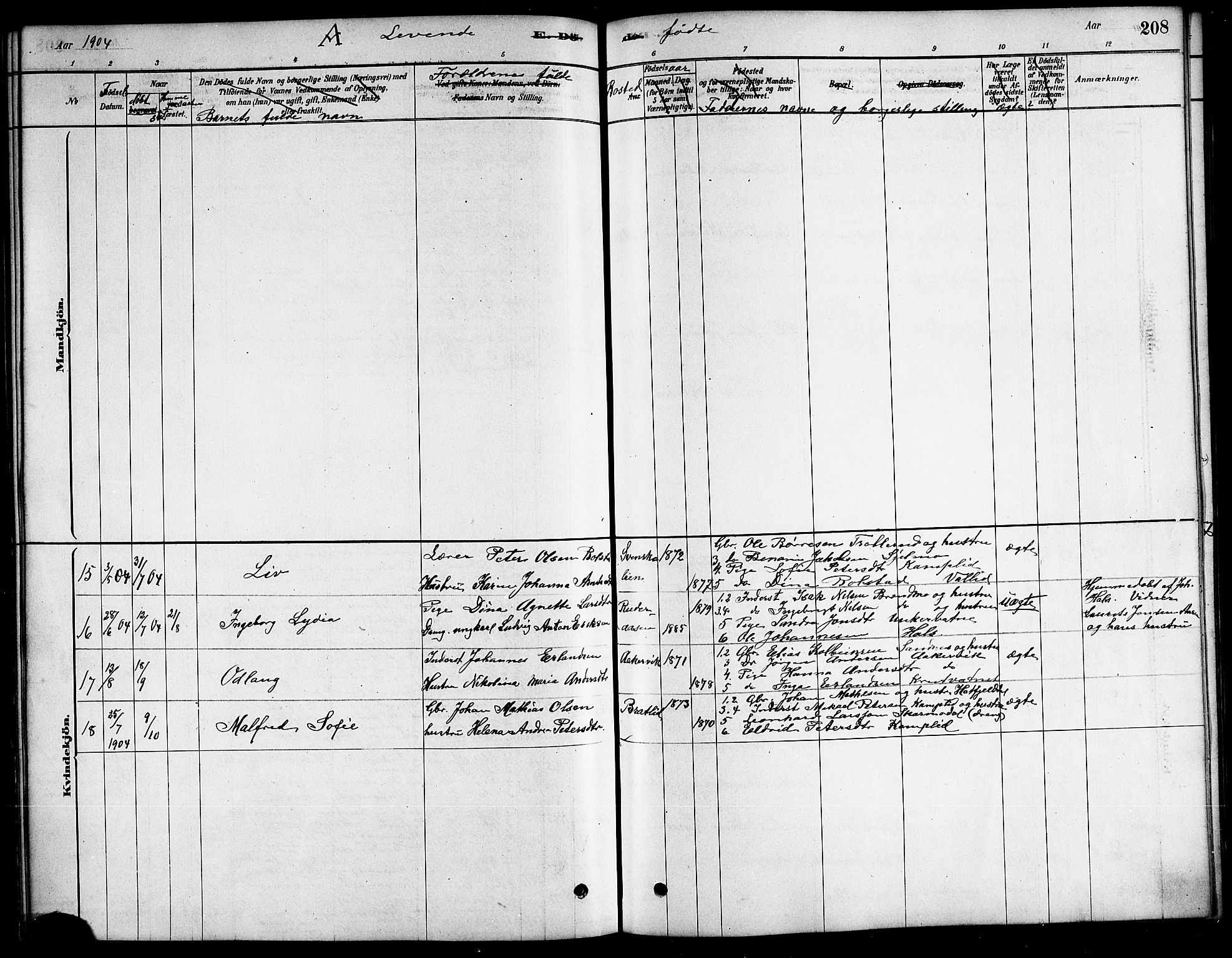 Ministerialprotokoller, klokkerbøker og fødselsregistre - Nordland, AV/SAT-A-1459/823/L0330: Parish register (copy) no. 823C02, 1879-1916, p. 208