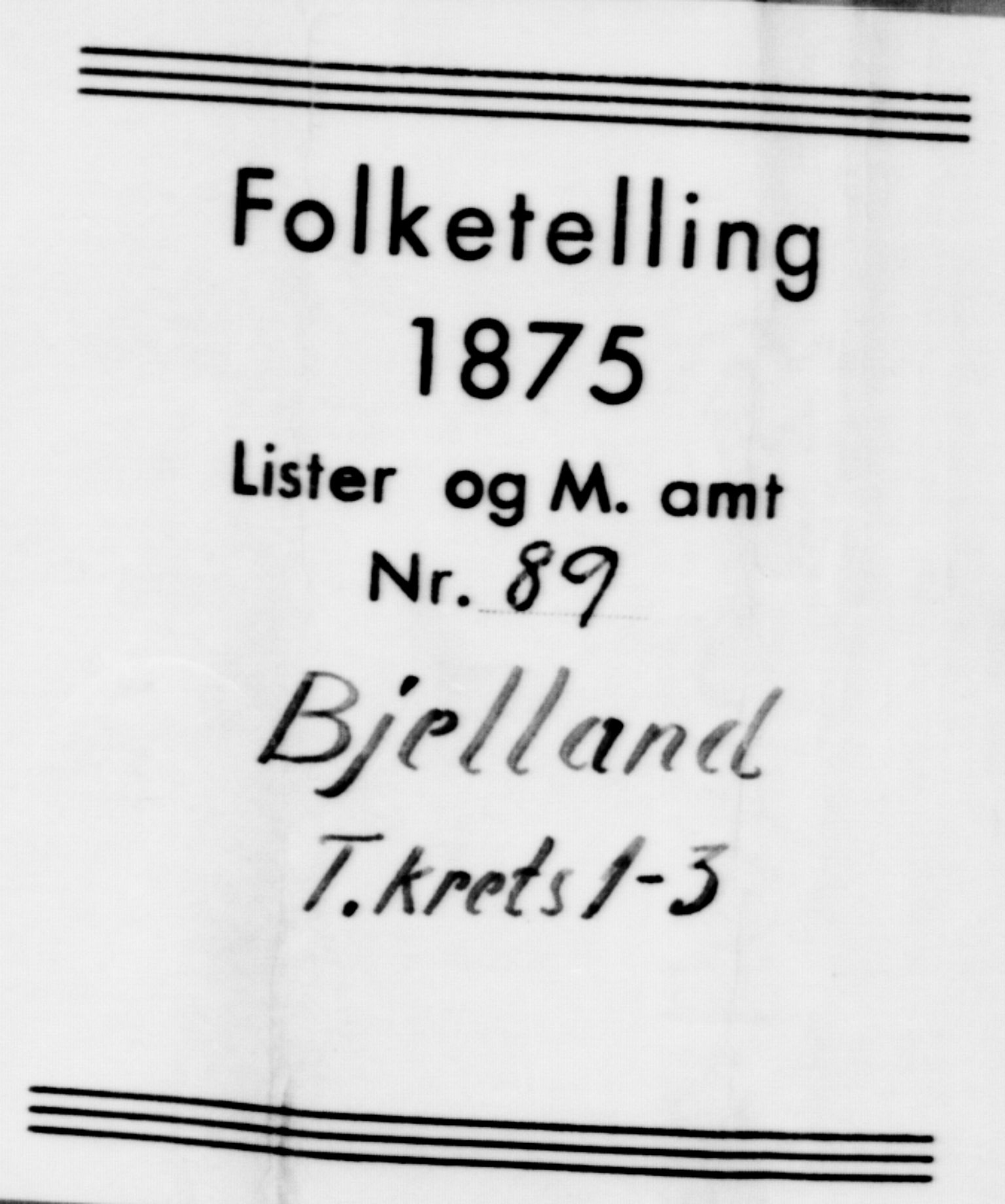 SAK, 1875 census for 1024P Bjelland, 1875, p. 33