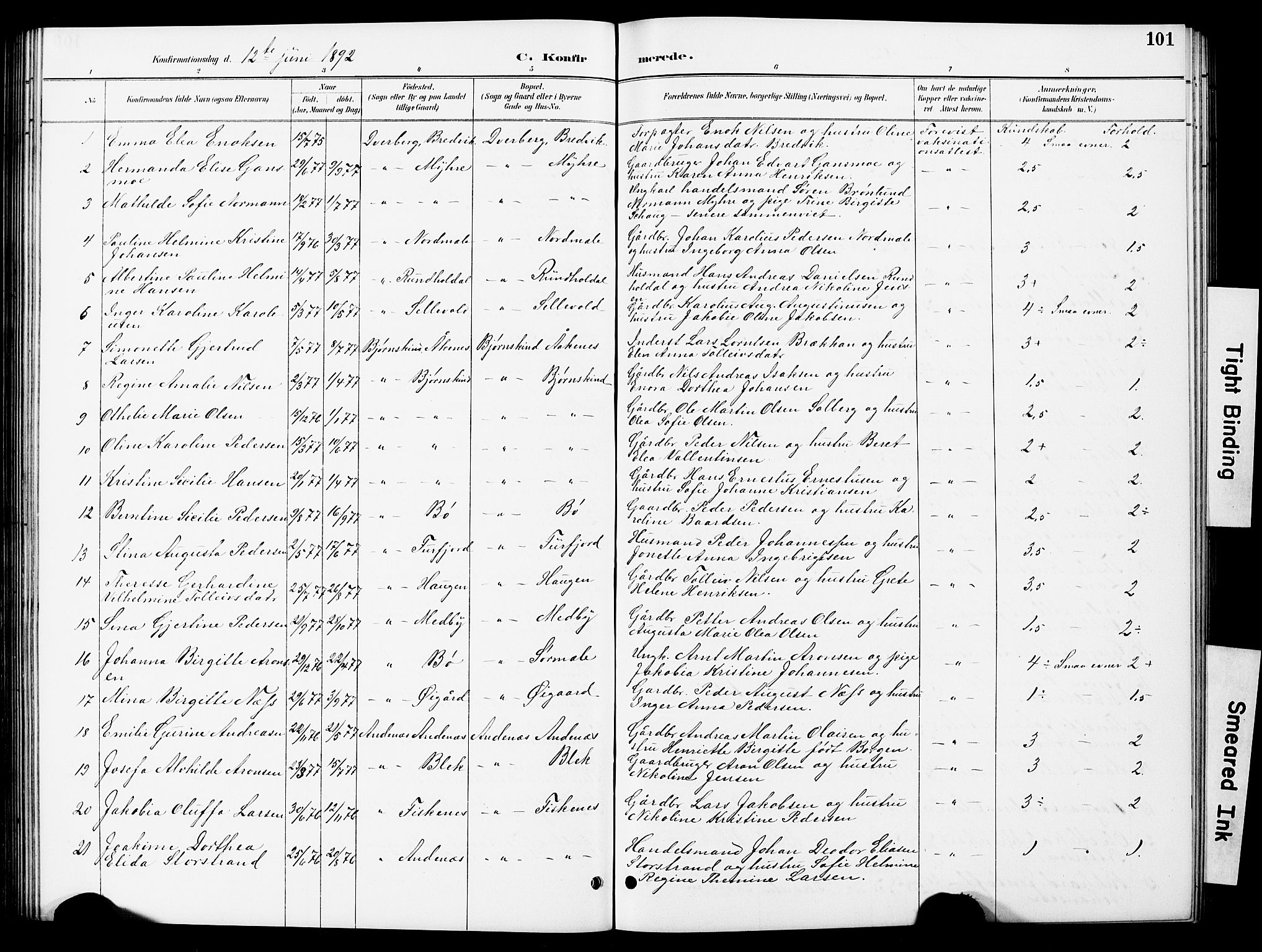 Ministerialprotokoller, klokkerbøker og fødselsregistre - Nordland, SAT/A-1459/897/L1413: Parish register (copy) no. 897C03, 1887-1903, p. 101