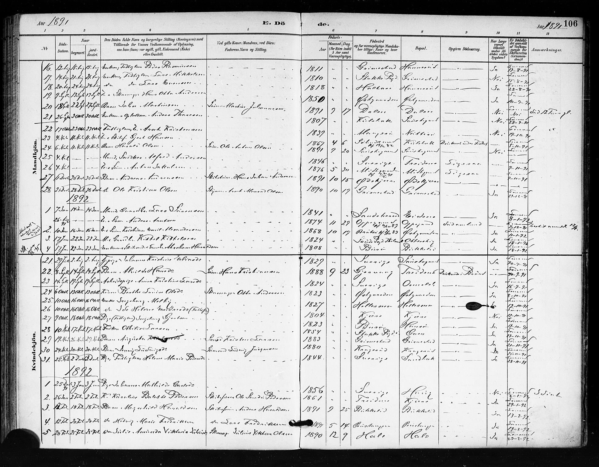 Tjøme kirkebøker, AV/SAKO-A-328/F/Fa/L0003: Parish register (official) no. I 3, 1891-1900, p. 106