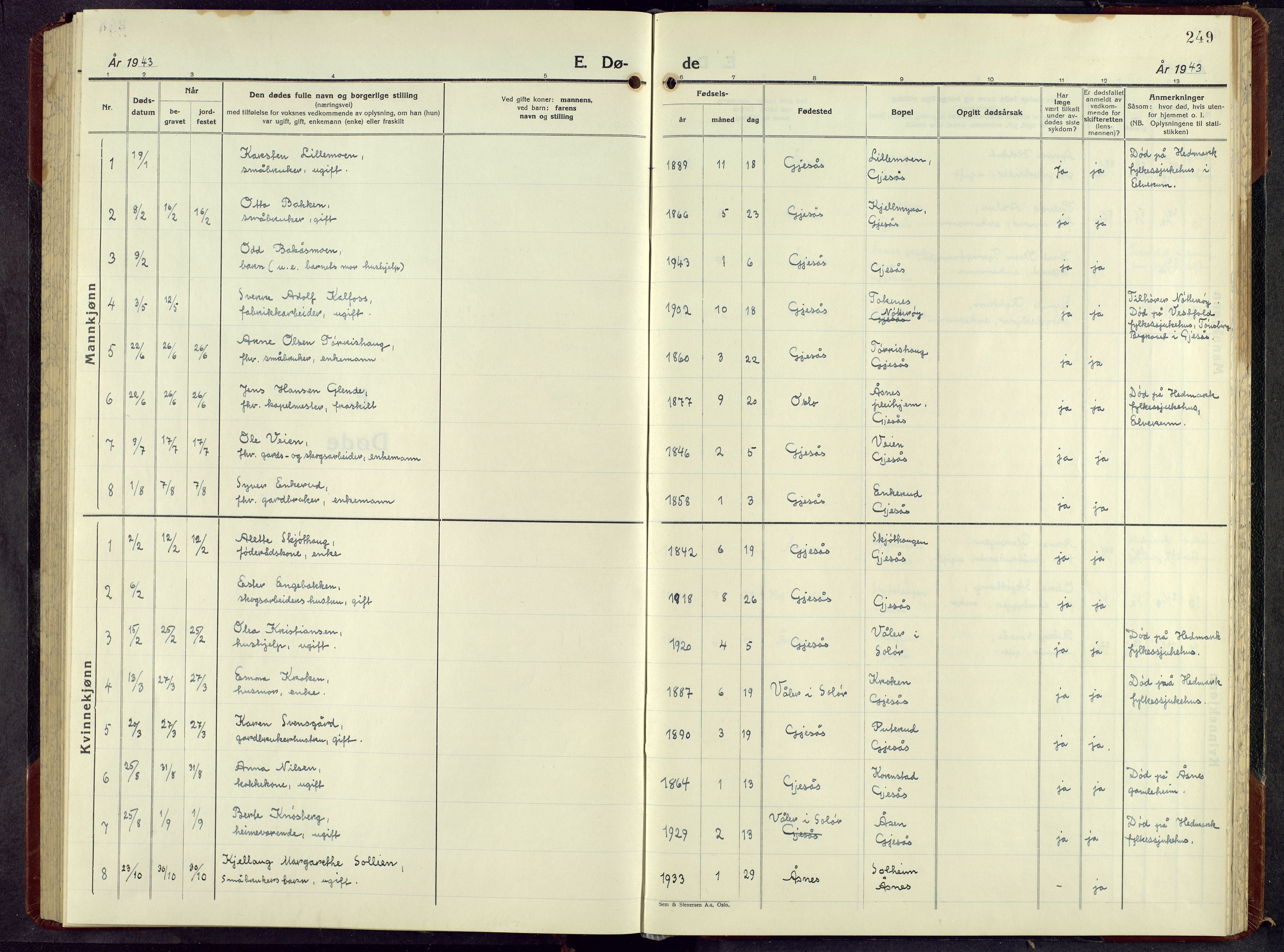 Åsnes prestekontor, AV/SAH-PREST-042/H/Ha/Hab/L0013: Parish register (copy) no. 13, 1943-1966, p. 249