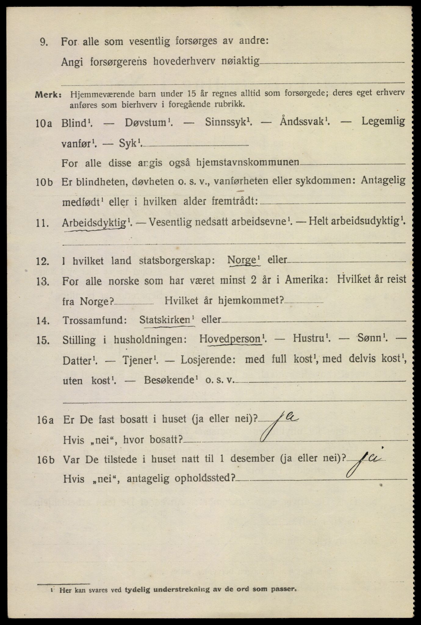 SAKO, 1920 census for Kragerø, 1920, p. 11060