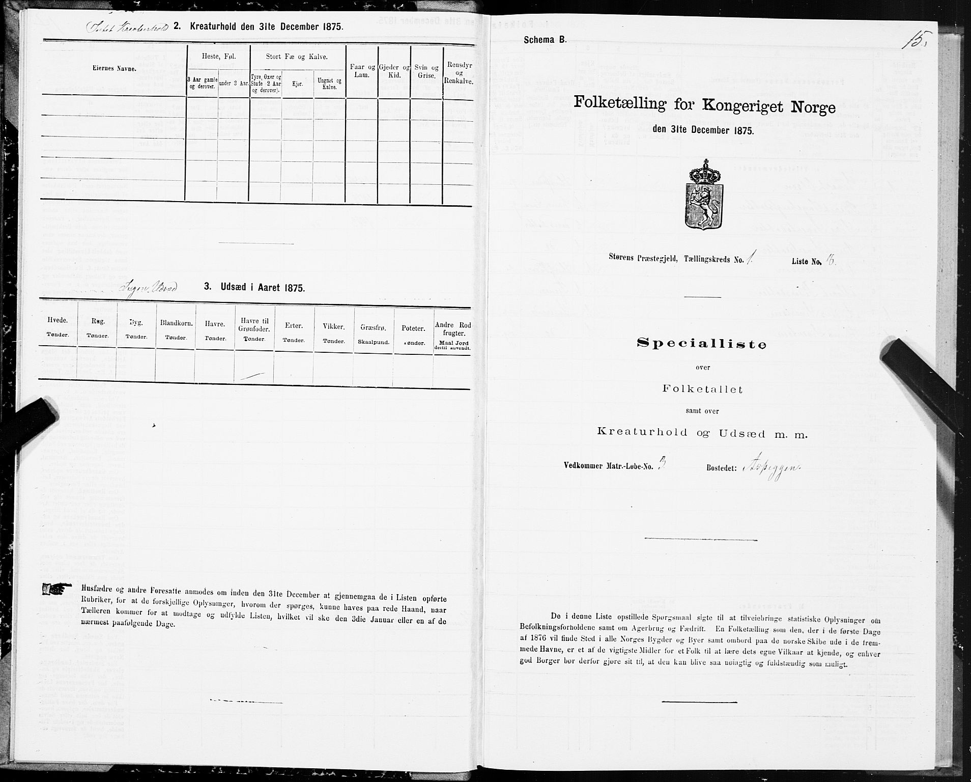 SAT, 1875 census for 1648P Støren, 1875, p. 7015