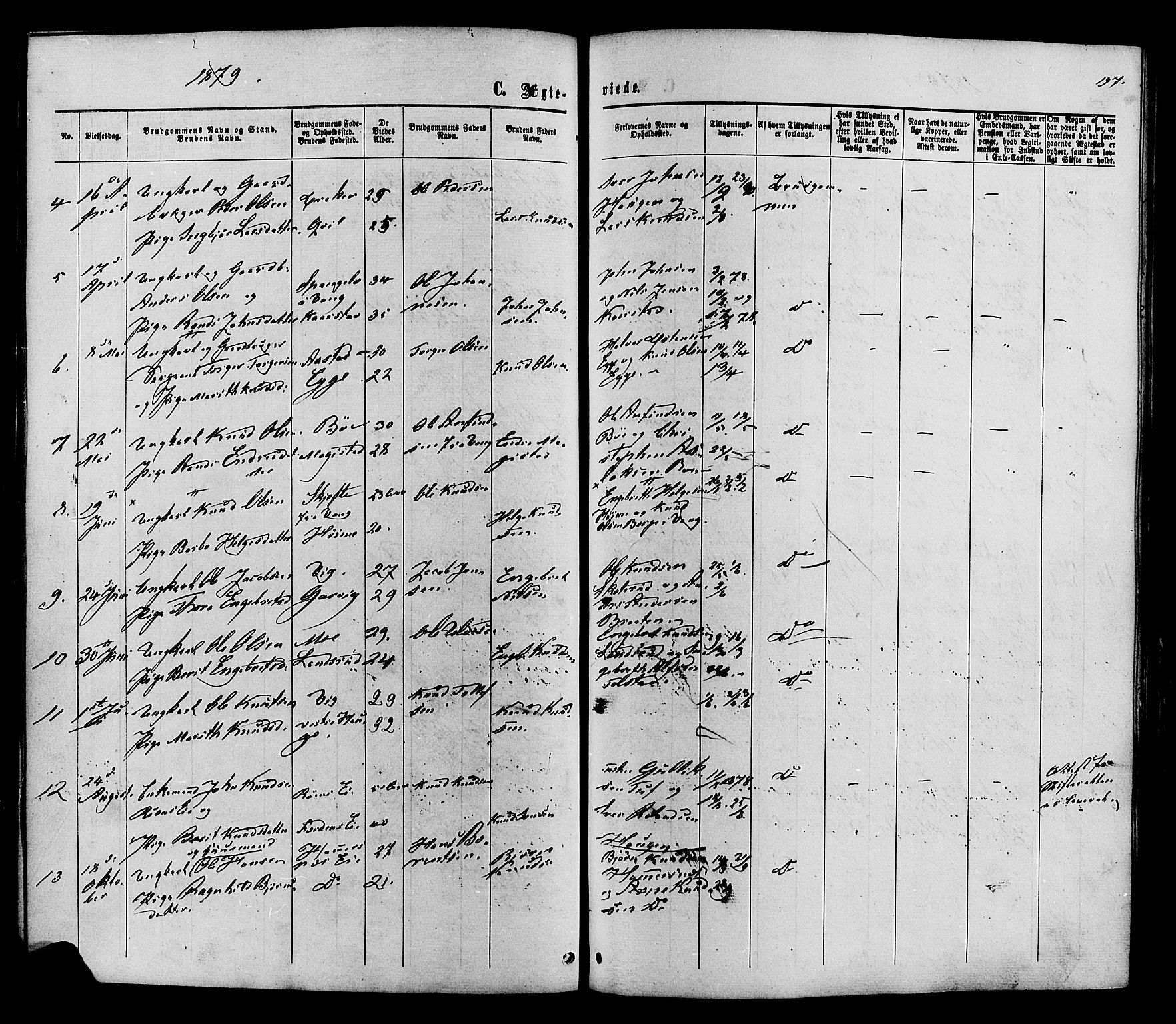 Vestre Slidre prestekontor, SAH/PREST-136/H/Ha/Haa/L0003: Parish register (official) no. 3, 1865-1880, p. 197