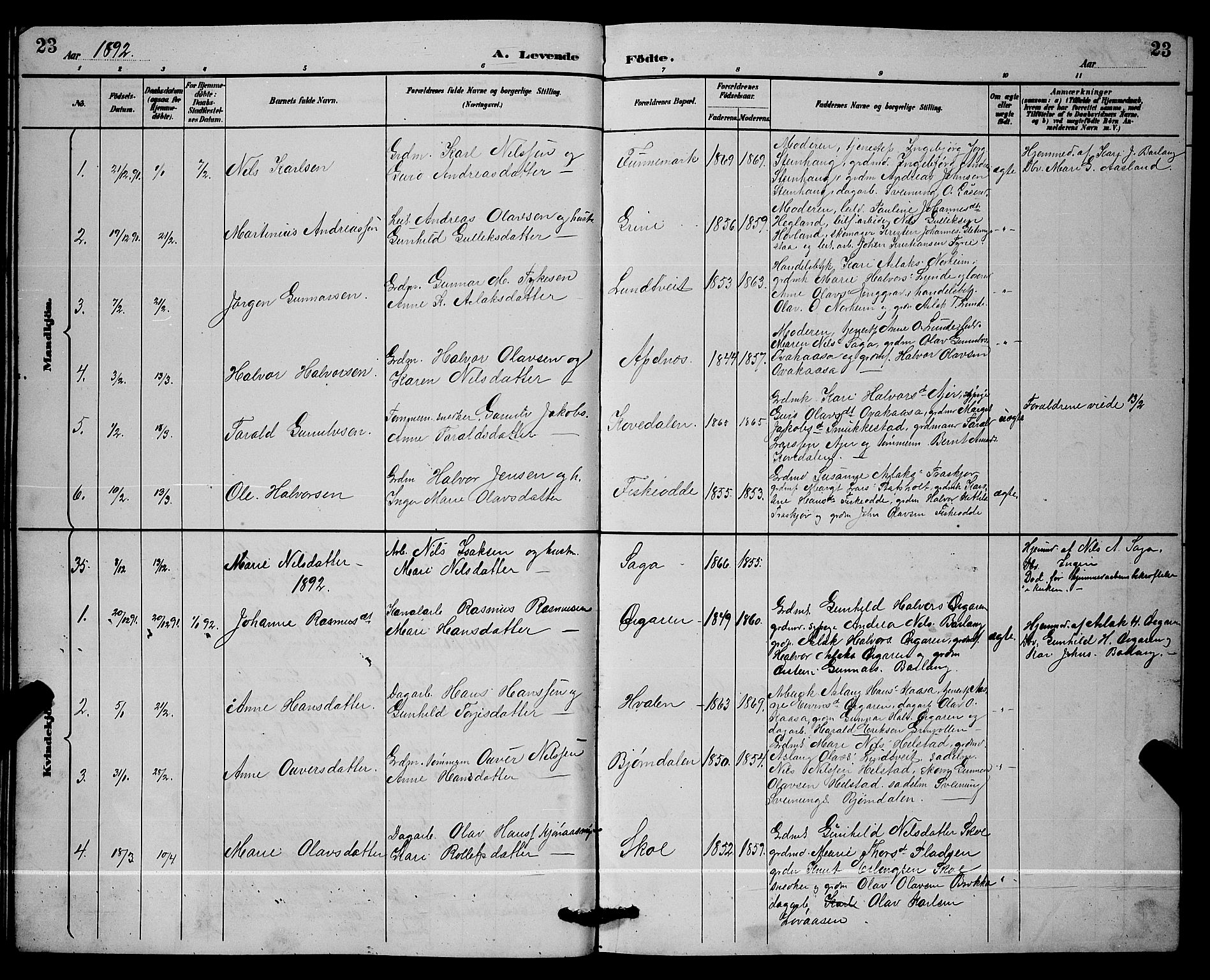 Lunde kirkebøker, SAKO/A-282/G/Ga/L0002: Parish register (copy) no. I 2, 1887-1896, p. 23