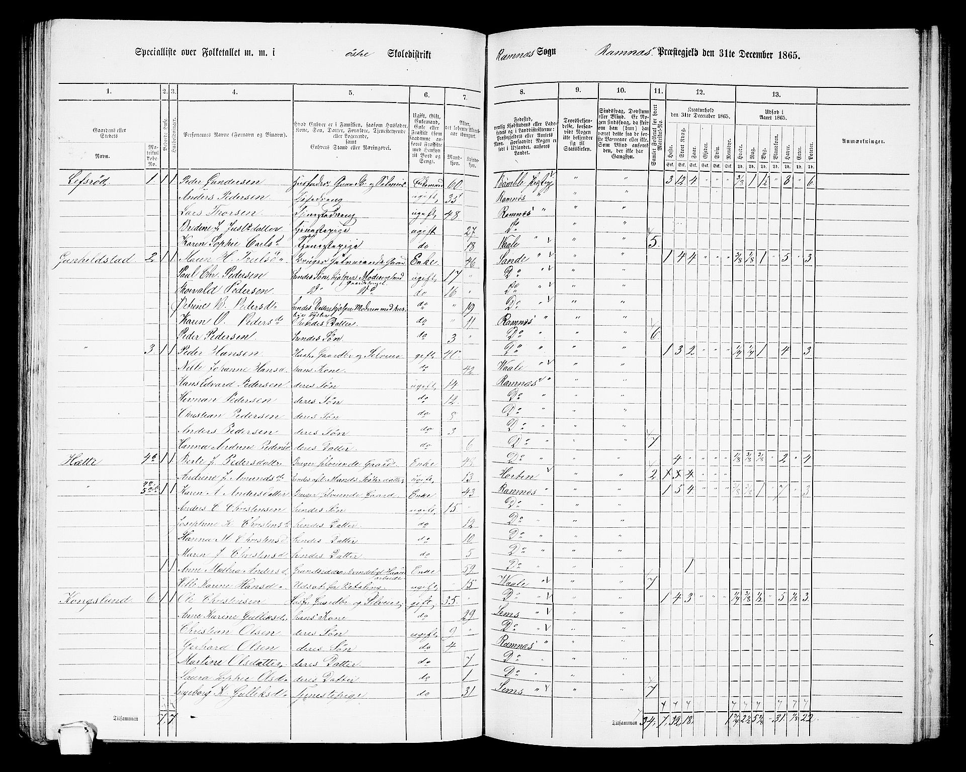 RA, 1865 census for Ramnes, 1865, p. 41