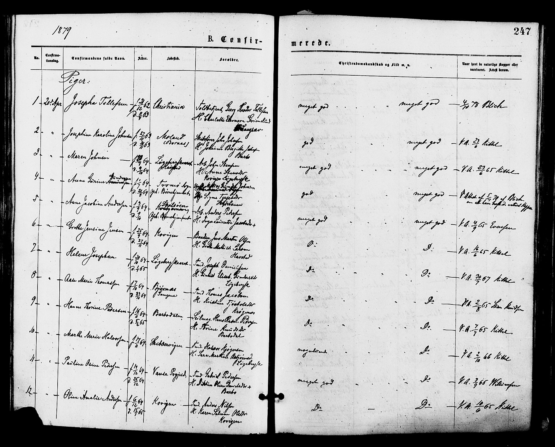 Barbu sokneprestkontor, AV/SAK-1111-0003/F/Fa/L0001: Parish register (official) no. A 1 /1, 1878-1883, p. 247