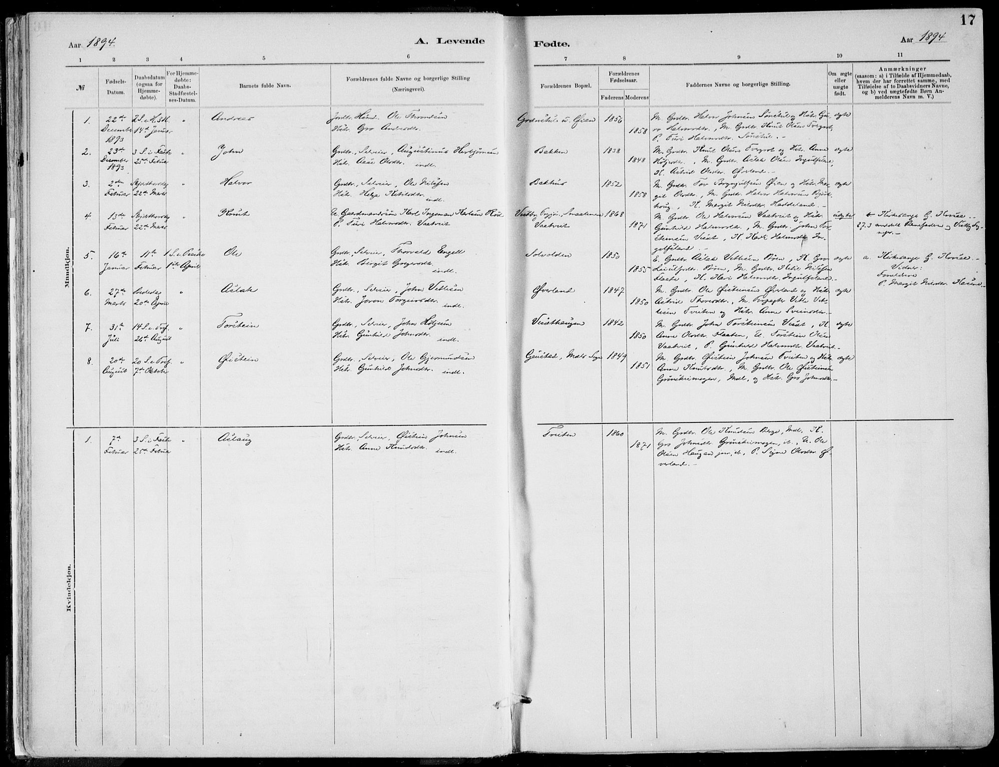 Rjukan kirkebøker, SAKO/A-294/F/Fa/L0001: Parish register (official) no. 1, 1878-1912, p. 17
