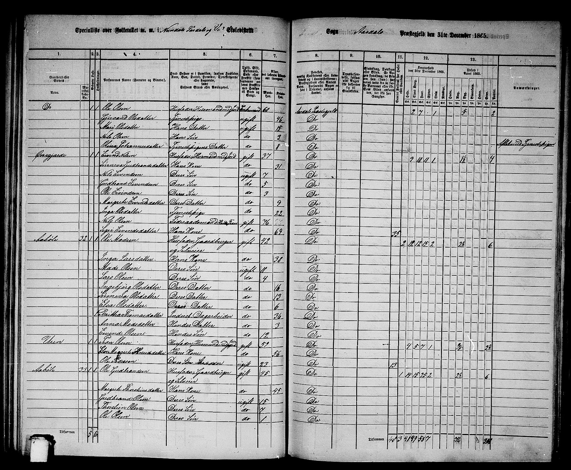 RA, 1865 census for Årdal, 1865, p. 63