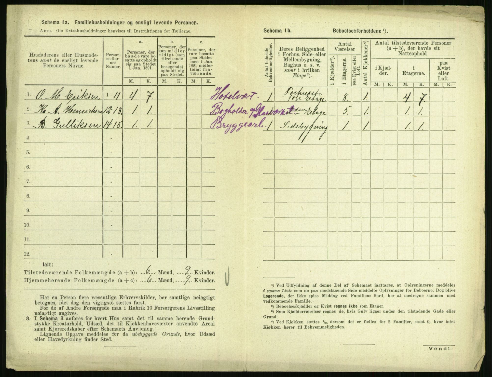 RA, 1891 census for 0707 Larvik, 1891, p. 1704