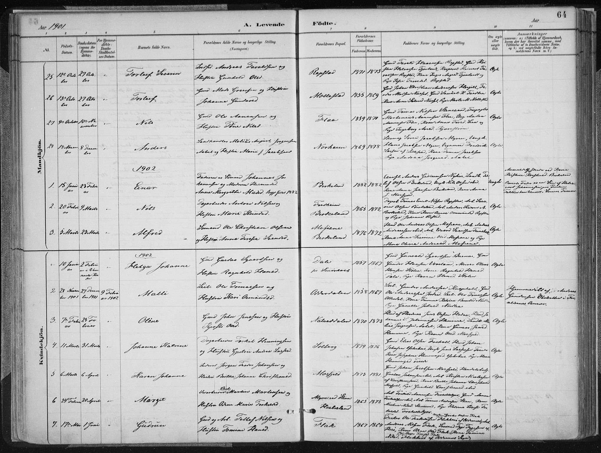 Birkenes sokneprestkontor, AV/SAK-1111-0004/F/Fa/L0005: Parish register (official) no. A 5, 1887-1907, p. 64