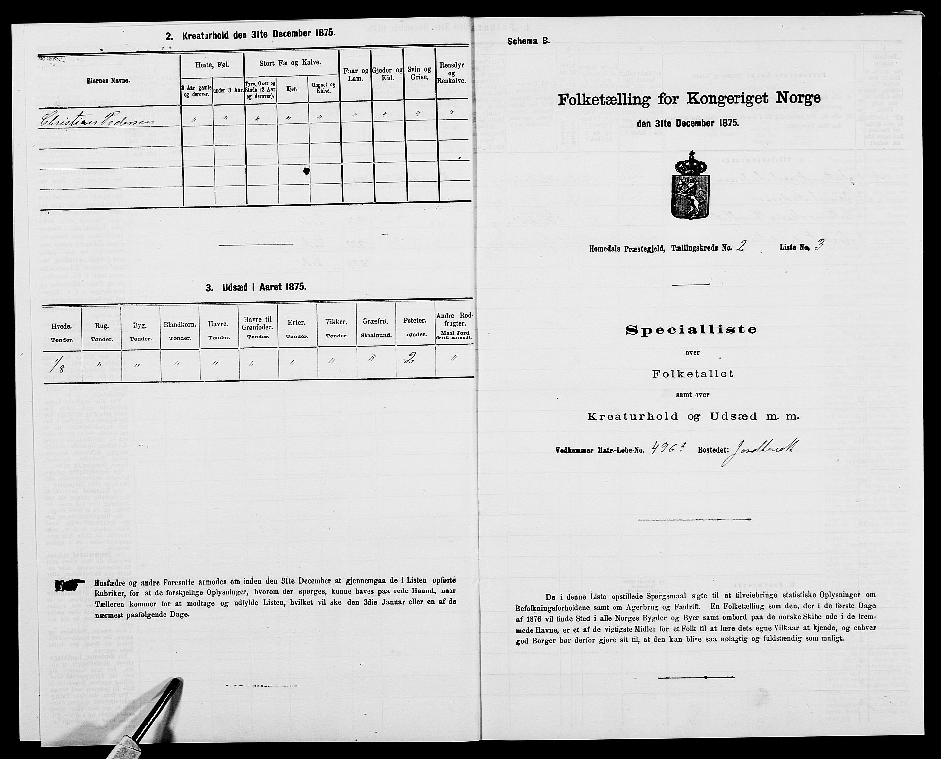 SAK, 1875 census for 0924P Homedal, 1875, p. 132