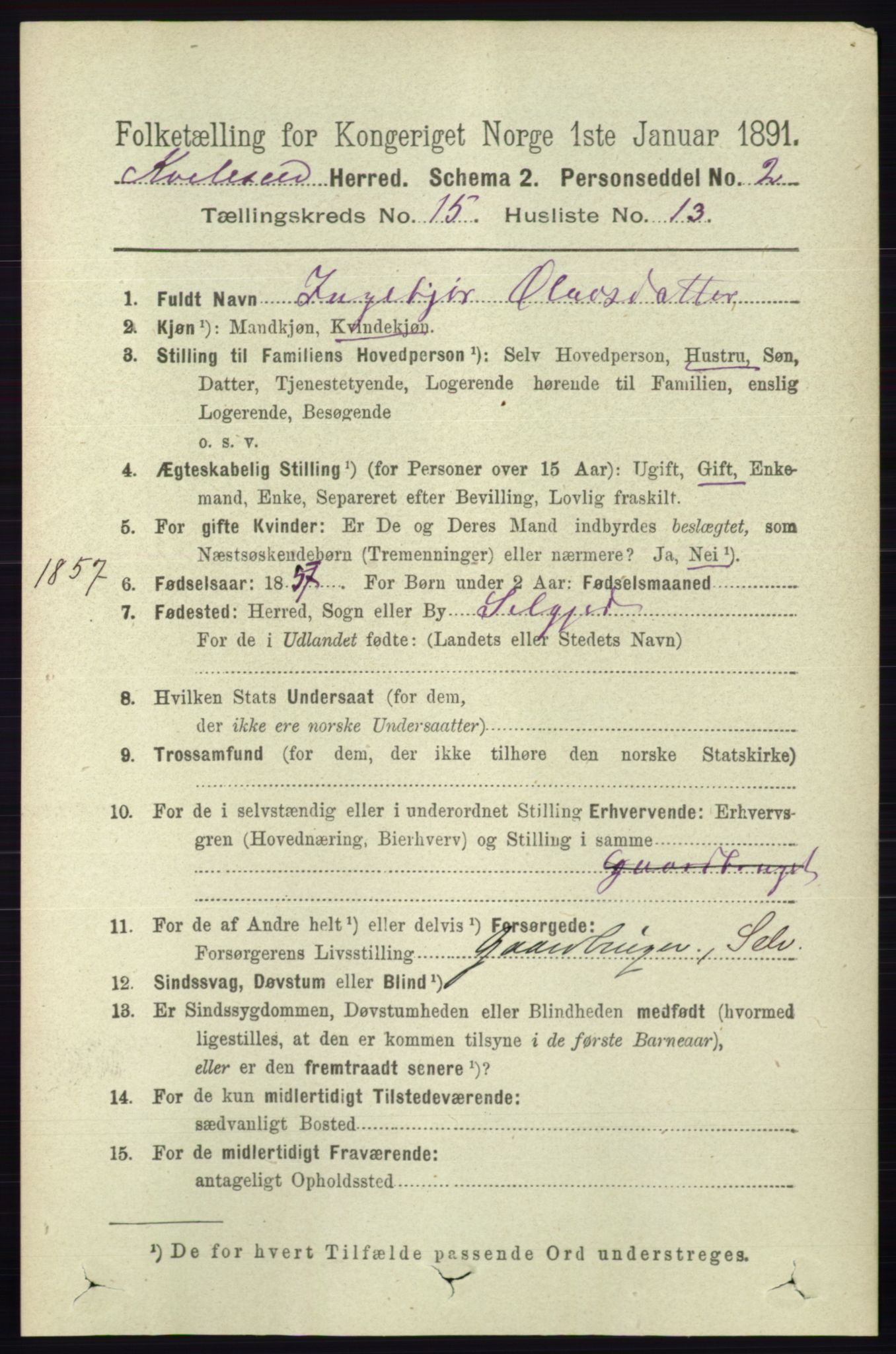 RA, 1891 census for 0829 Kviteseid, 1891, p. 3585