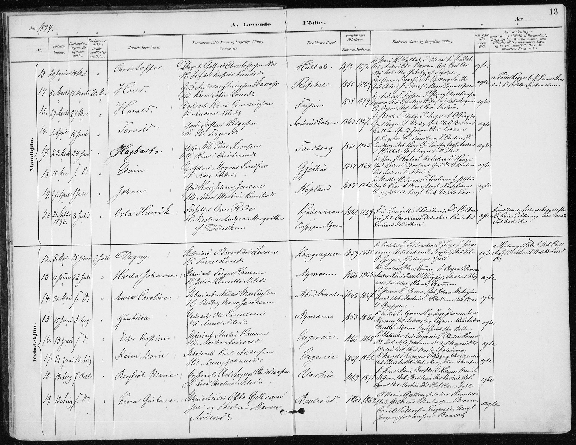 Modum kirkebøker, AV/SAKO-A-234/F/Fa/L0016: Parish register (official) no. 16, 1890-1899, p. 13