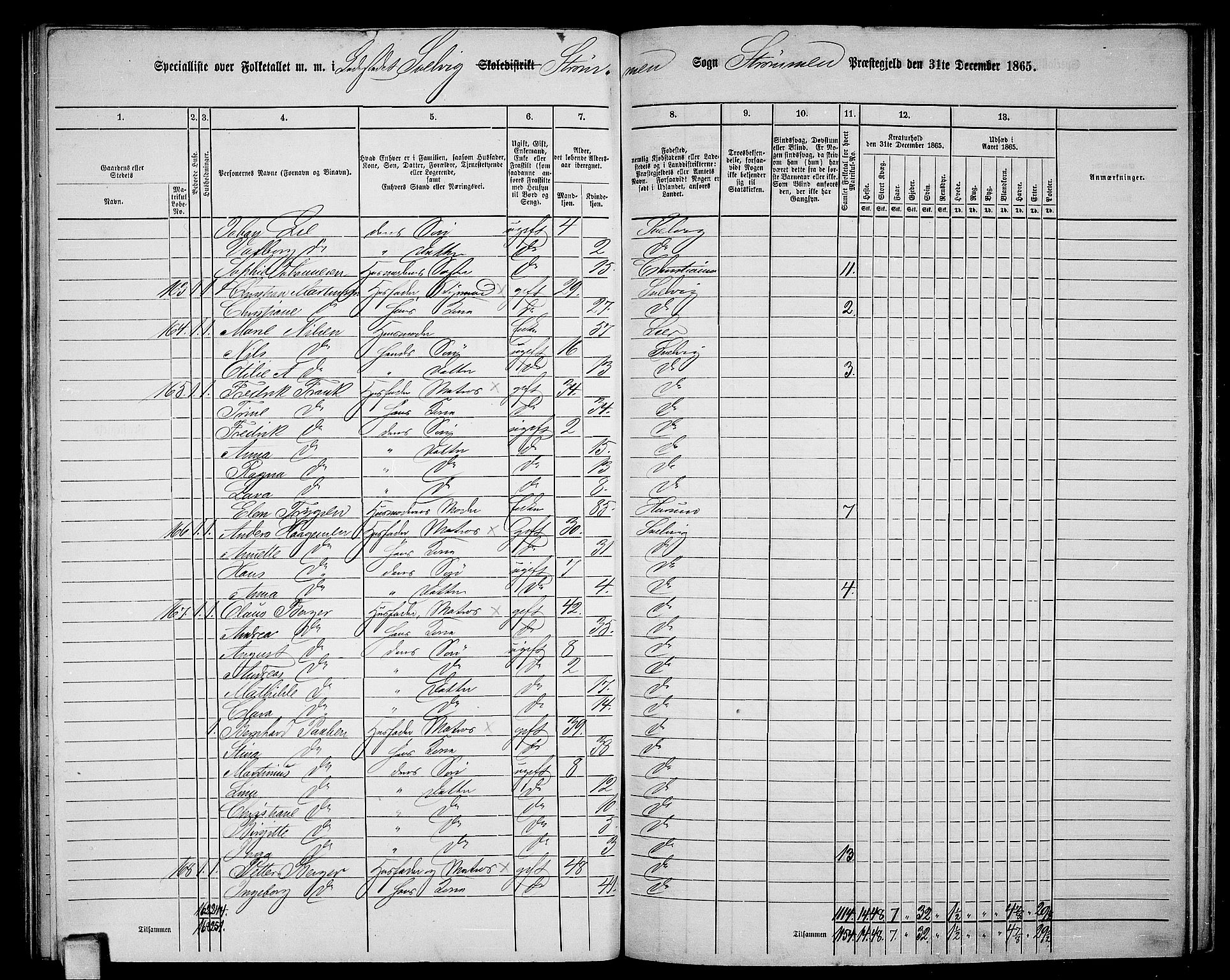 RA, 1865 census for Strømm, 1865, p. 102