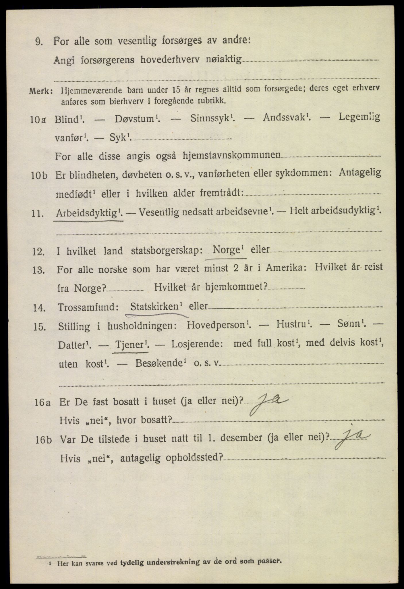 SAH, 1920 census for Lom, 1920, p. 3399