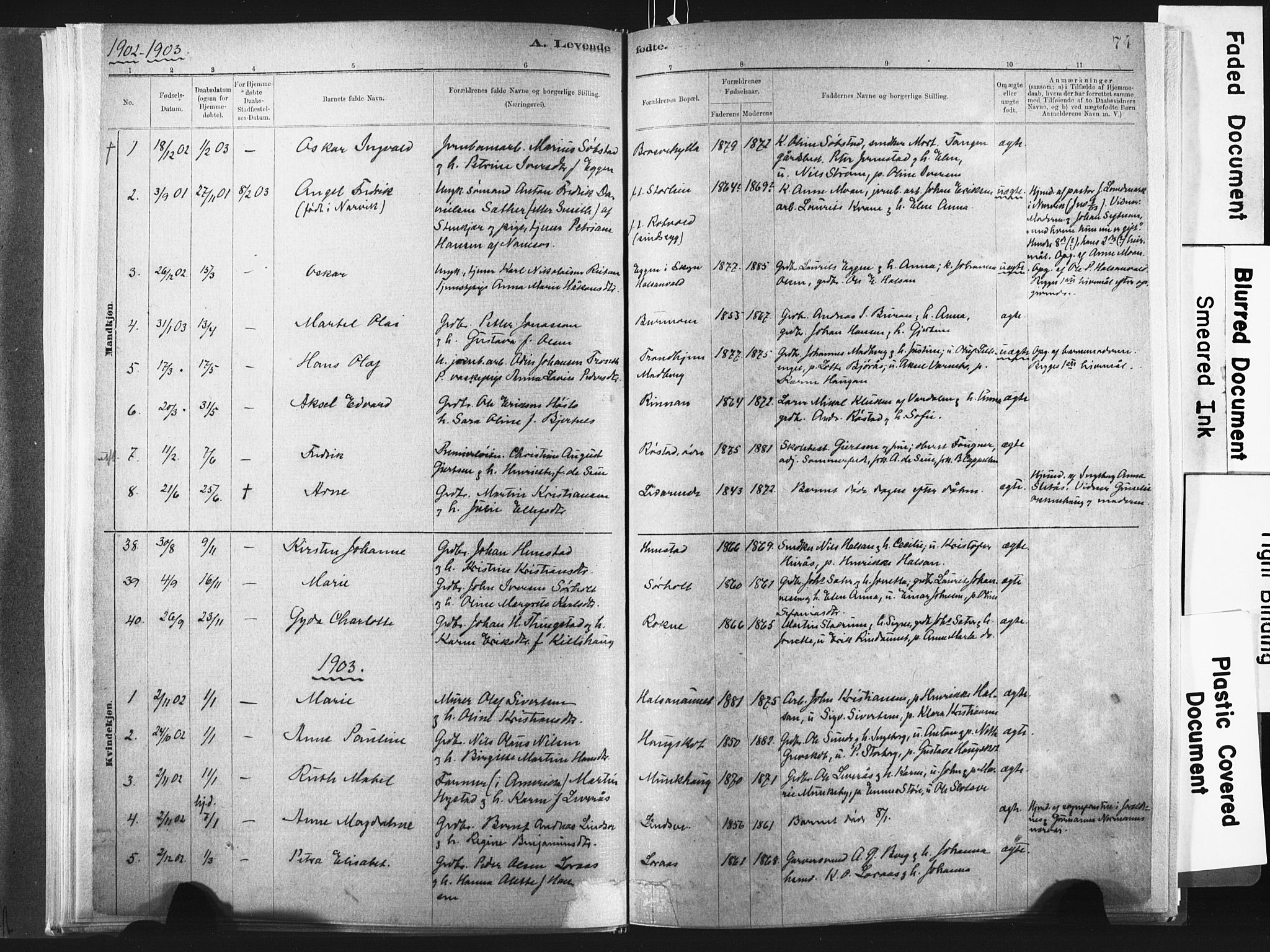 Ministerialprotokoller, klokkerbøker og fødselsregistre - Nord-Trøndelag, SAT/A-1458/721/L0207: Parish register (official) no. 721A02, 1880-1911, p. 74