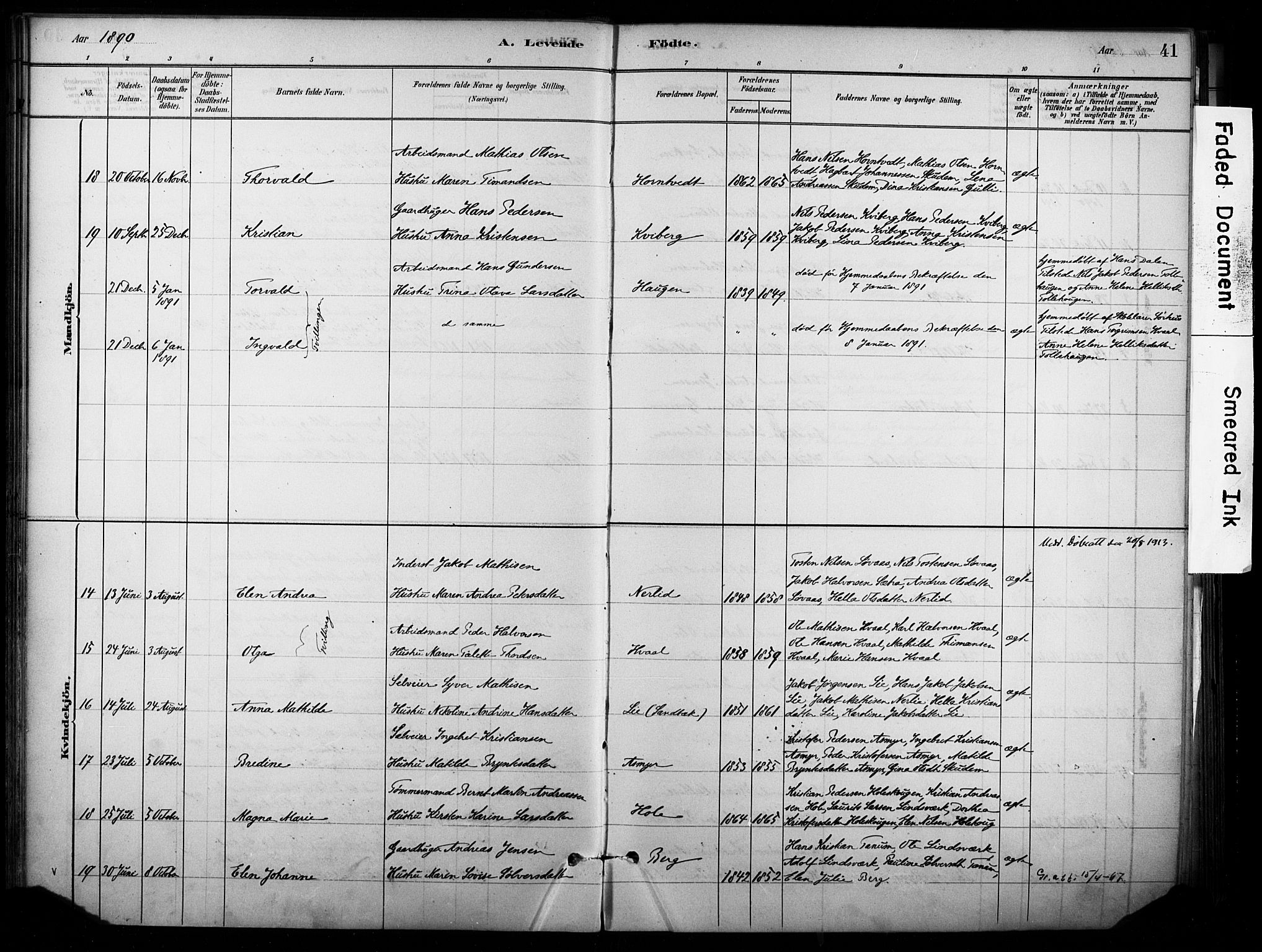 Lardal kirkebøker, AV/SAKO-A-350/F/Fb/L0001: Parish register (official) no. II 1, 1881-1911, p. 41