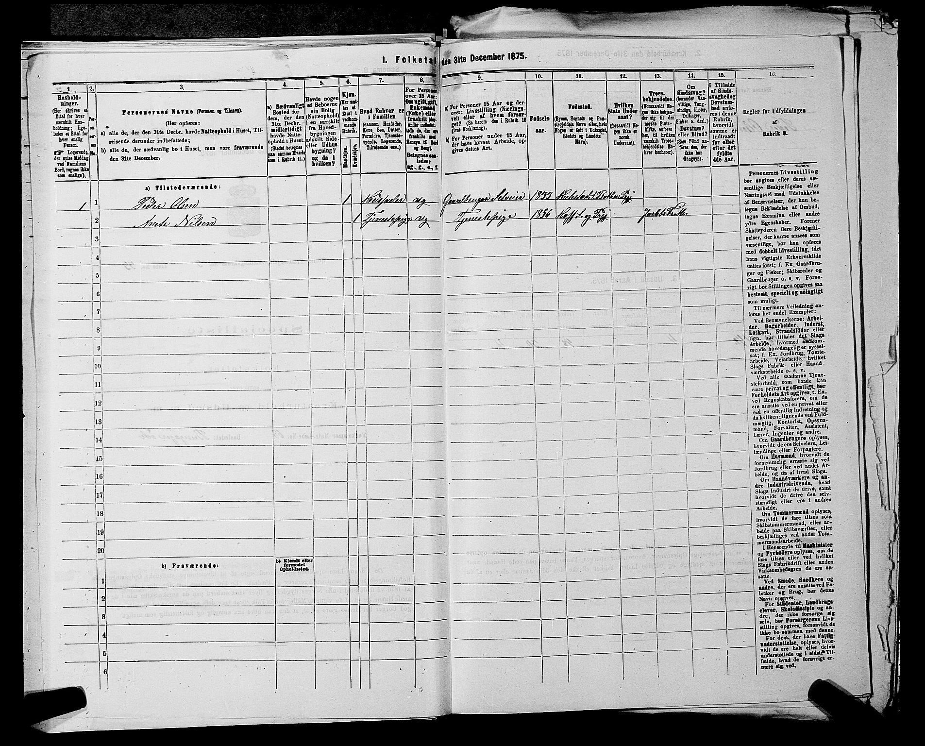 SAKO, 1875 census for 0715P Botne, 1875, p. 307