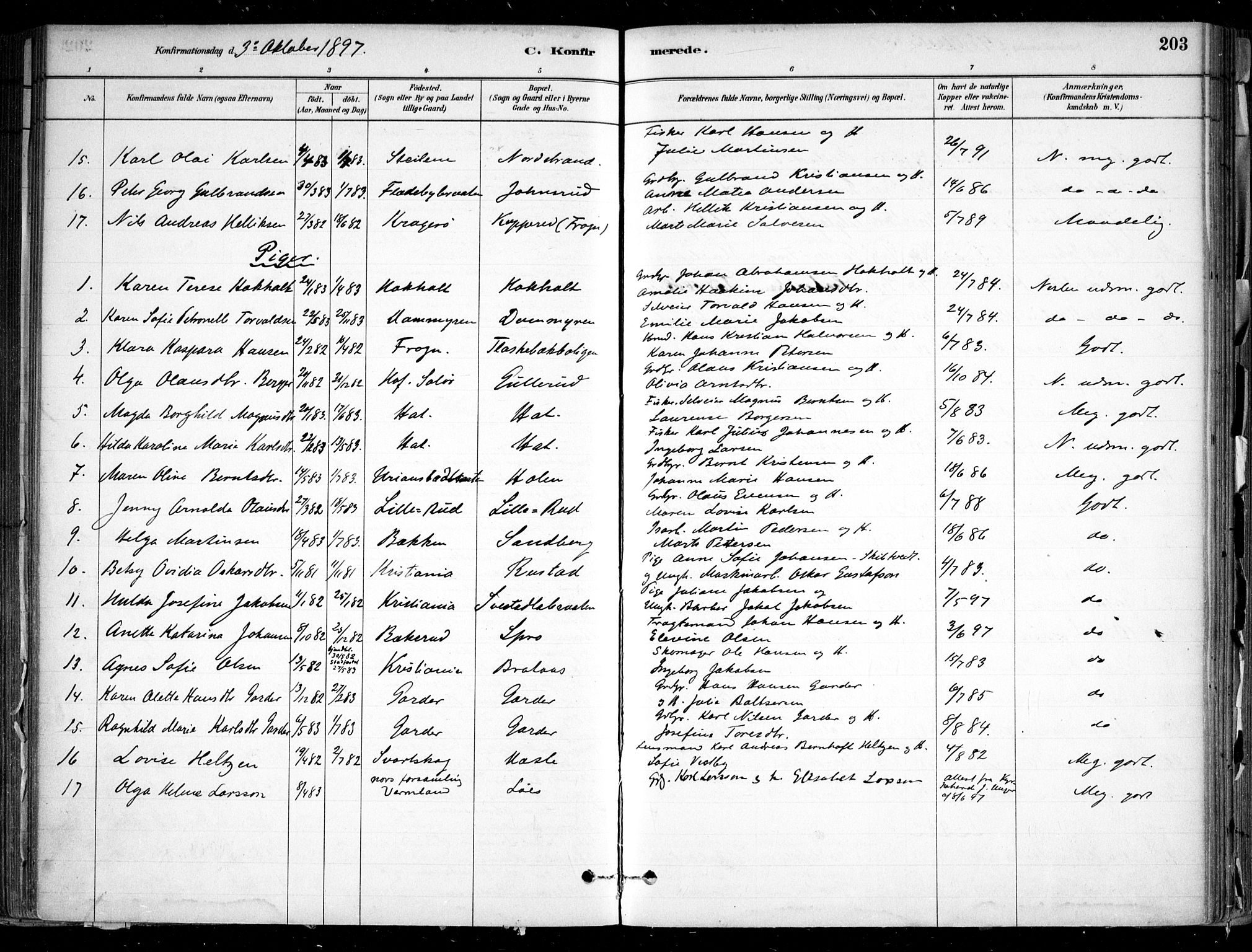 Nesodden prestekontor Kirkebøker, AV/SAO-A-10013/F/Fa/L0009: Parish register (official) no. I 9, 1880-1915, p. 203