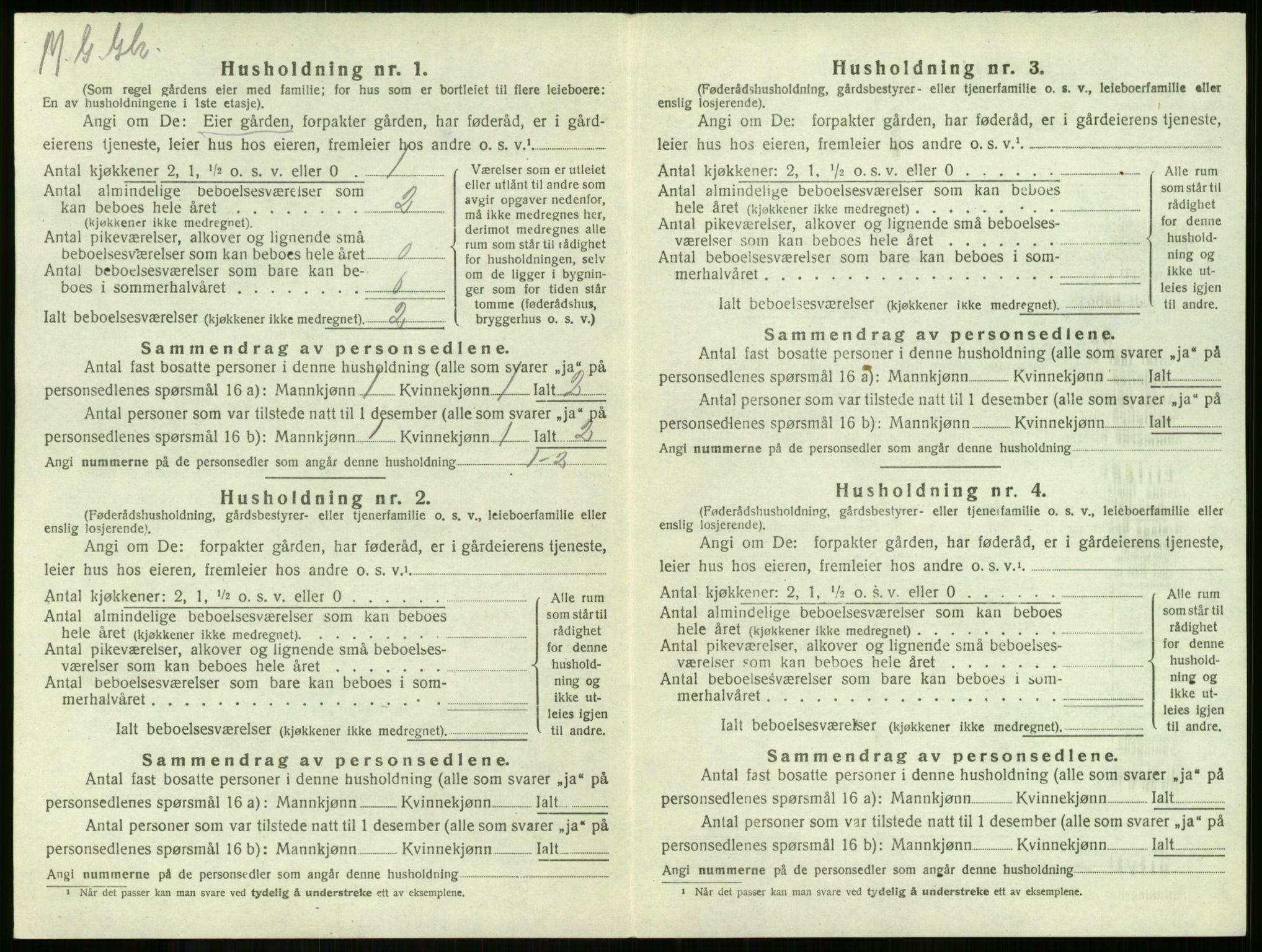 SAKO, 1920 census for Borre, 1920, p. 976