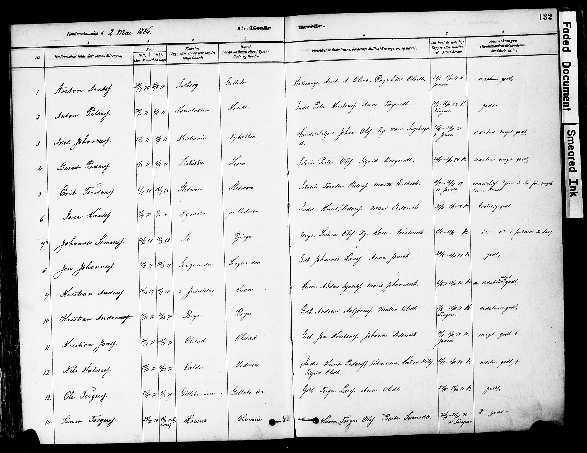 Øyer prestekontor, AV/SAH-PREST-084/H/Ha/Haa/L0008: Parish register (official) no. 8, 1878-1897, p. 132