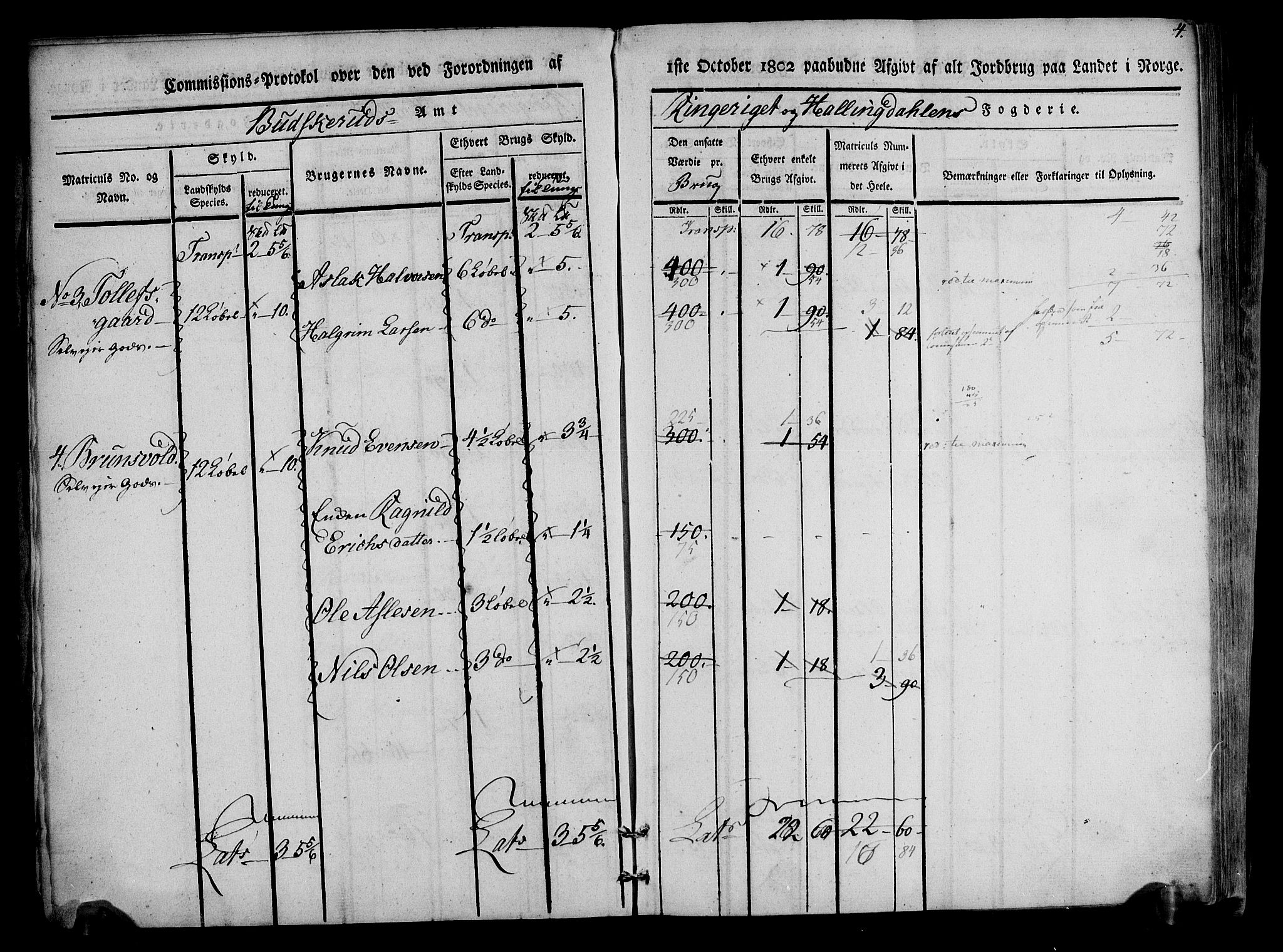 Rentekammeret inntil 1814, Realistisk ordnet avdeling, AV/RA-EA-4070/N/Ne/Nea/L0047: Ringerike og Hallingdal fogderi. Kommisjonsprotokoll for Nes prestegjeld, 1803, p. 5