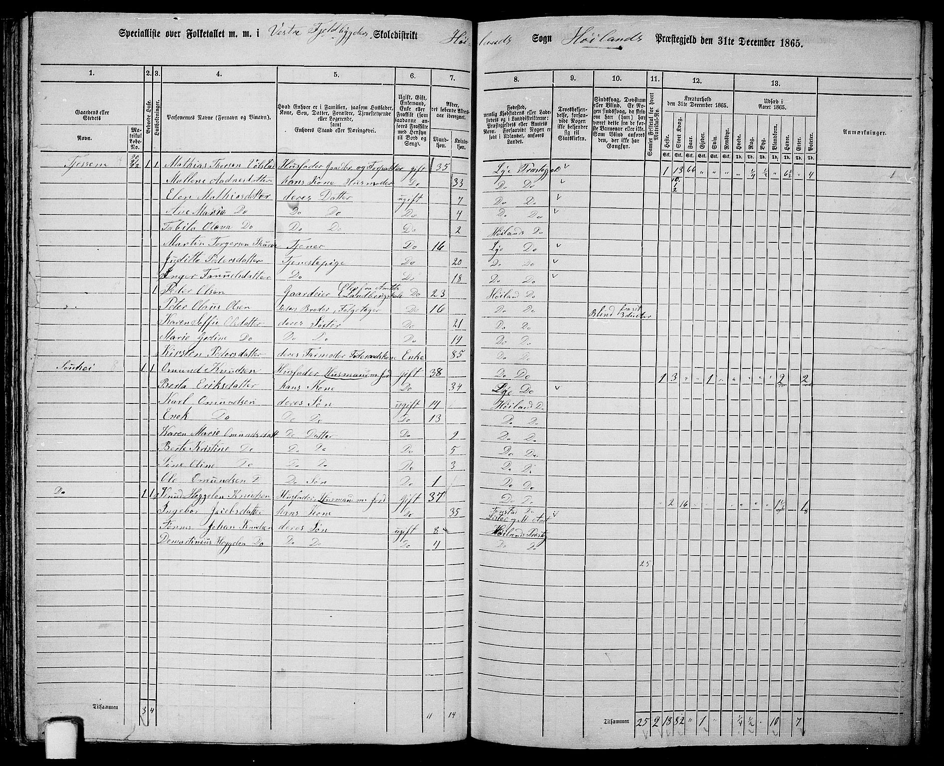 RA, 1865 census for Høyland, 1865, p. 101