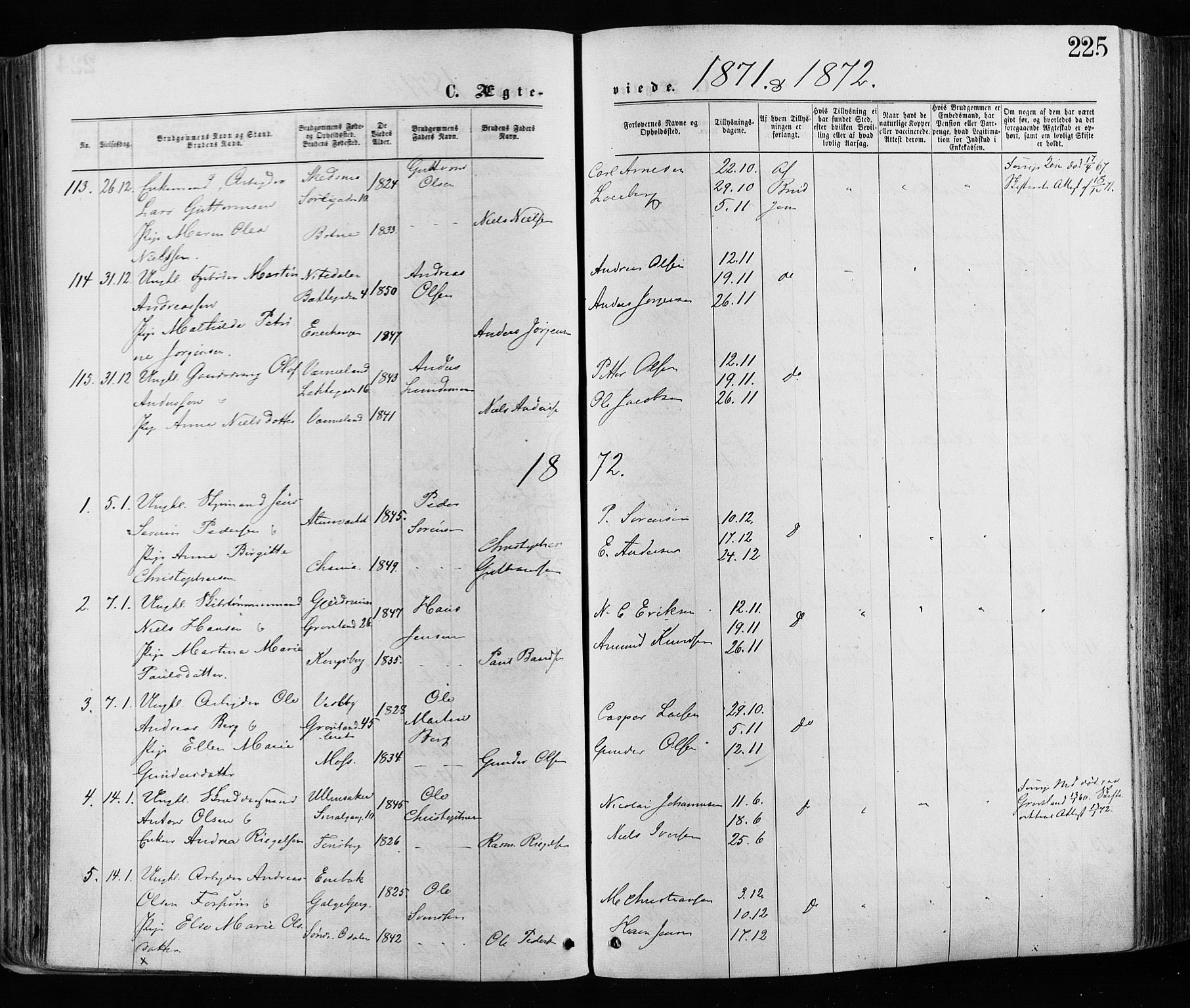 Grønland prestekontor Kirkebøker, SAO/A-10848/F/Fa/L0005: Parish register (official) no. 5, 1869-1880, p. 225