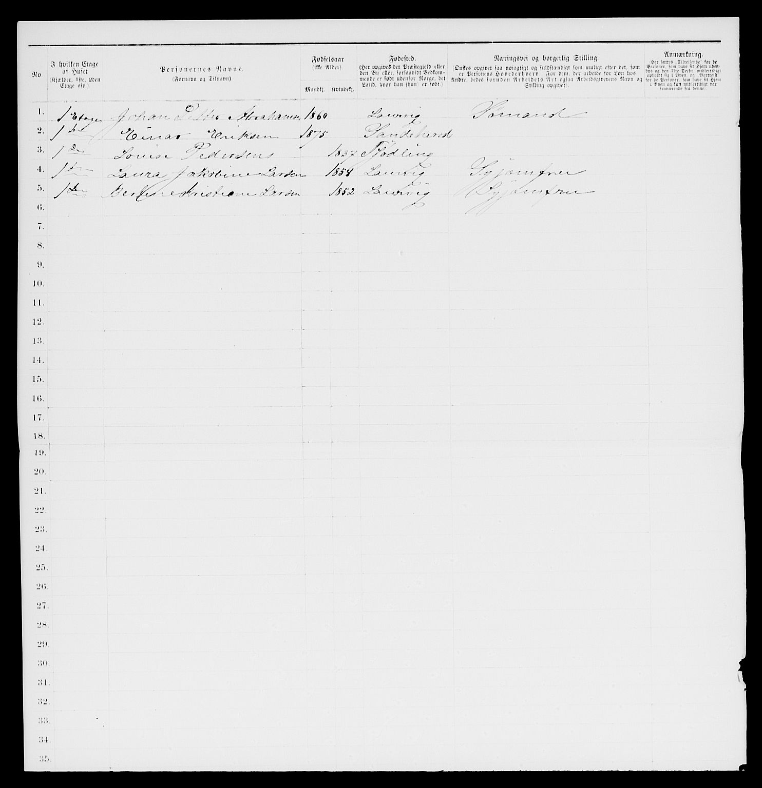 SAKO, 1885 census for 0707 Larvik, 1885, p. 1071