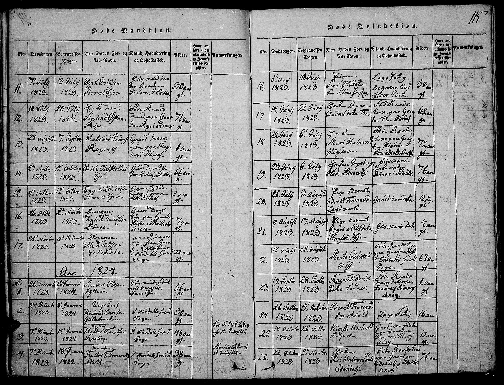 Nord-Aurdal prestekontor, SAH/PREST-132/H/Ha/Haa/L0002: Parish register (official) no. 2, 1816-1828, p. 115