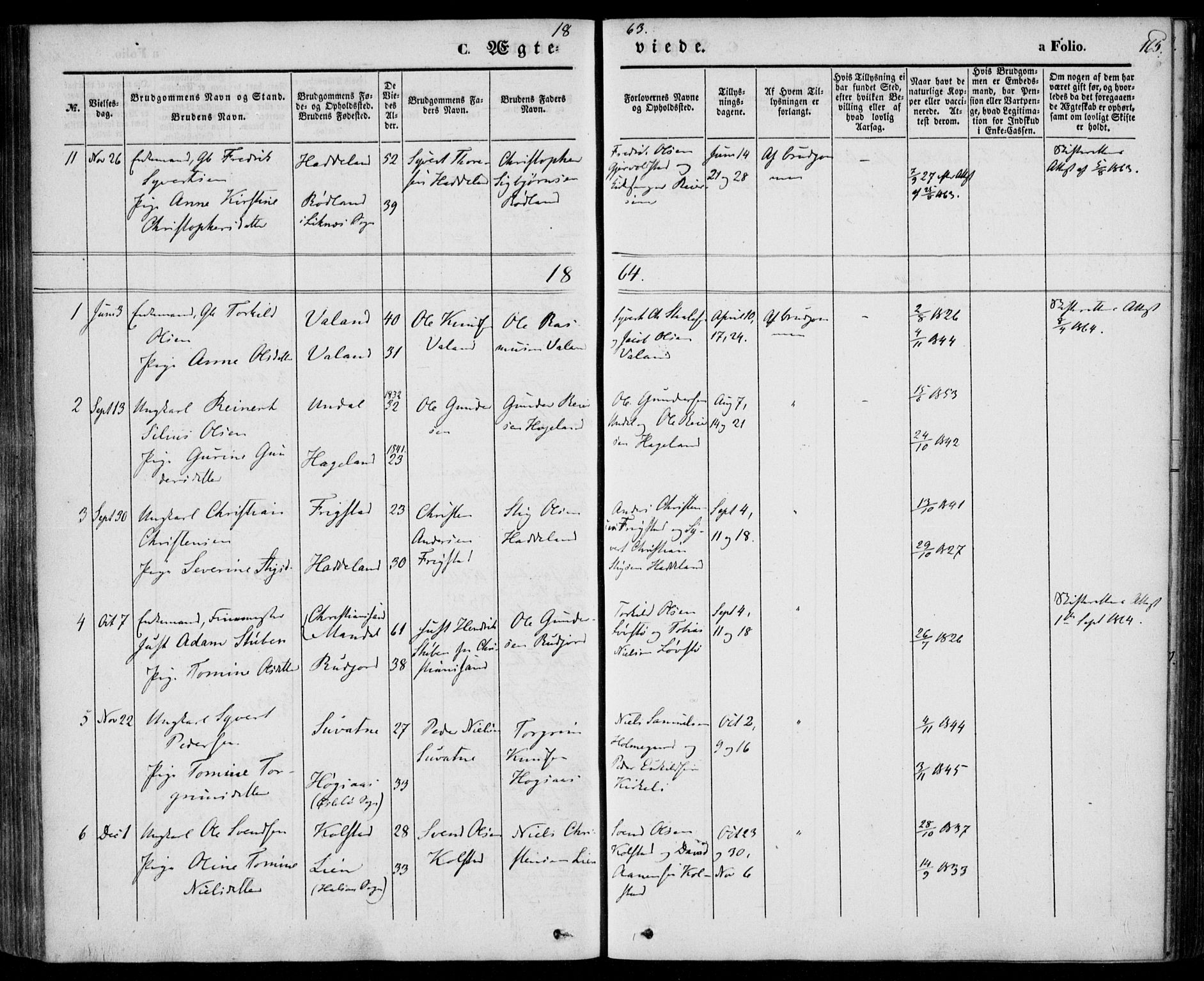 Holum sokneprestkontor, AV/SAK-1111-0022/F/Fa/Faa/L0005: Parish register (official) no. A 5, 1850-1864, p. 165