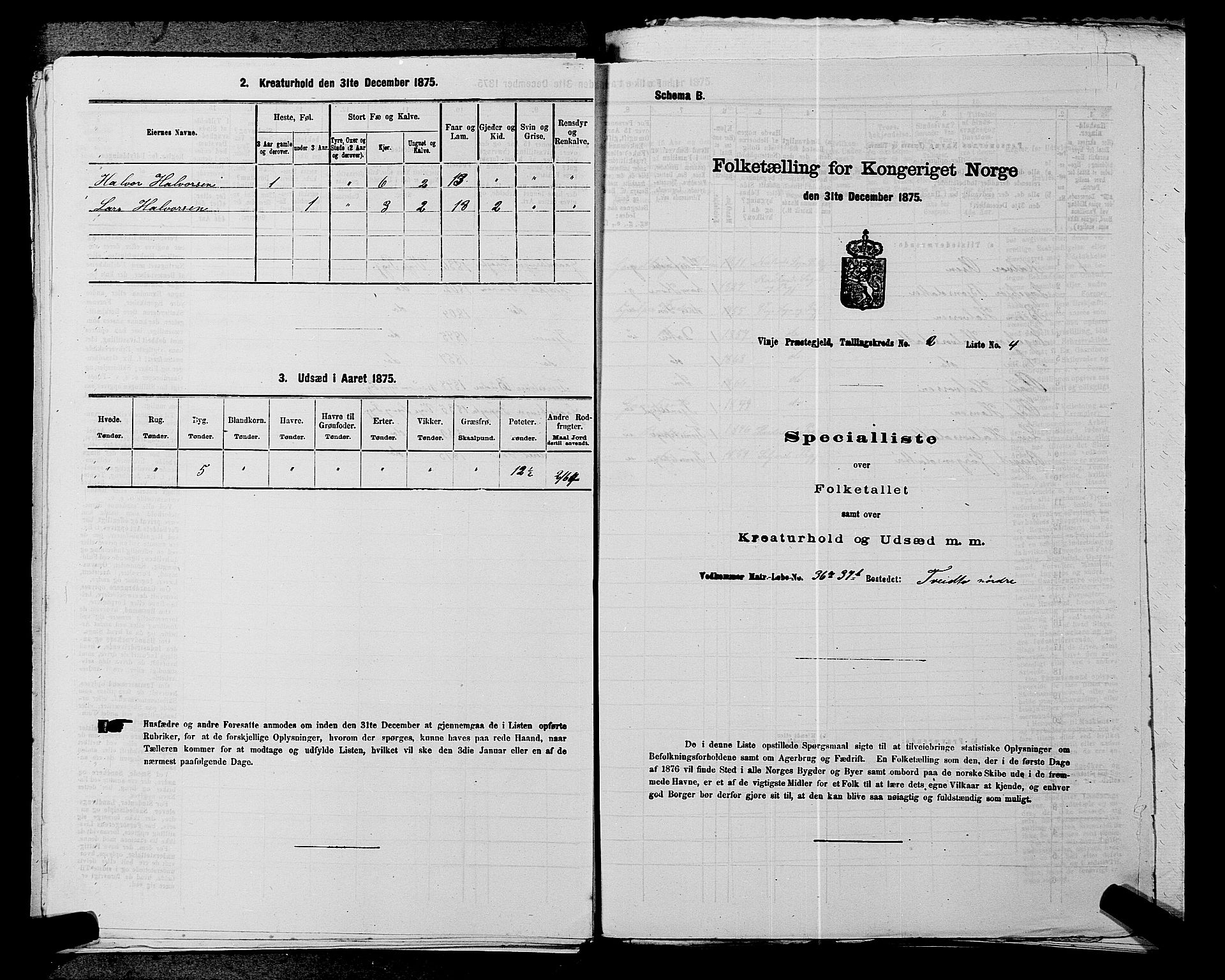 SAKO, 1875 census for 0834P Vinje, 1875, p. 221