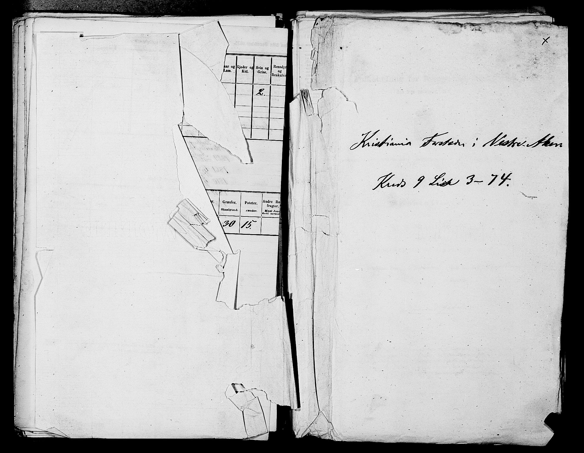 RA, 1875 census for 0218aP Vestre Aker, 1875, p. 1508