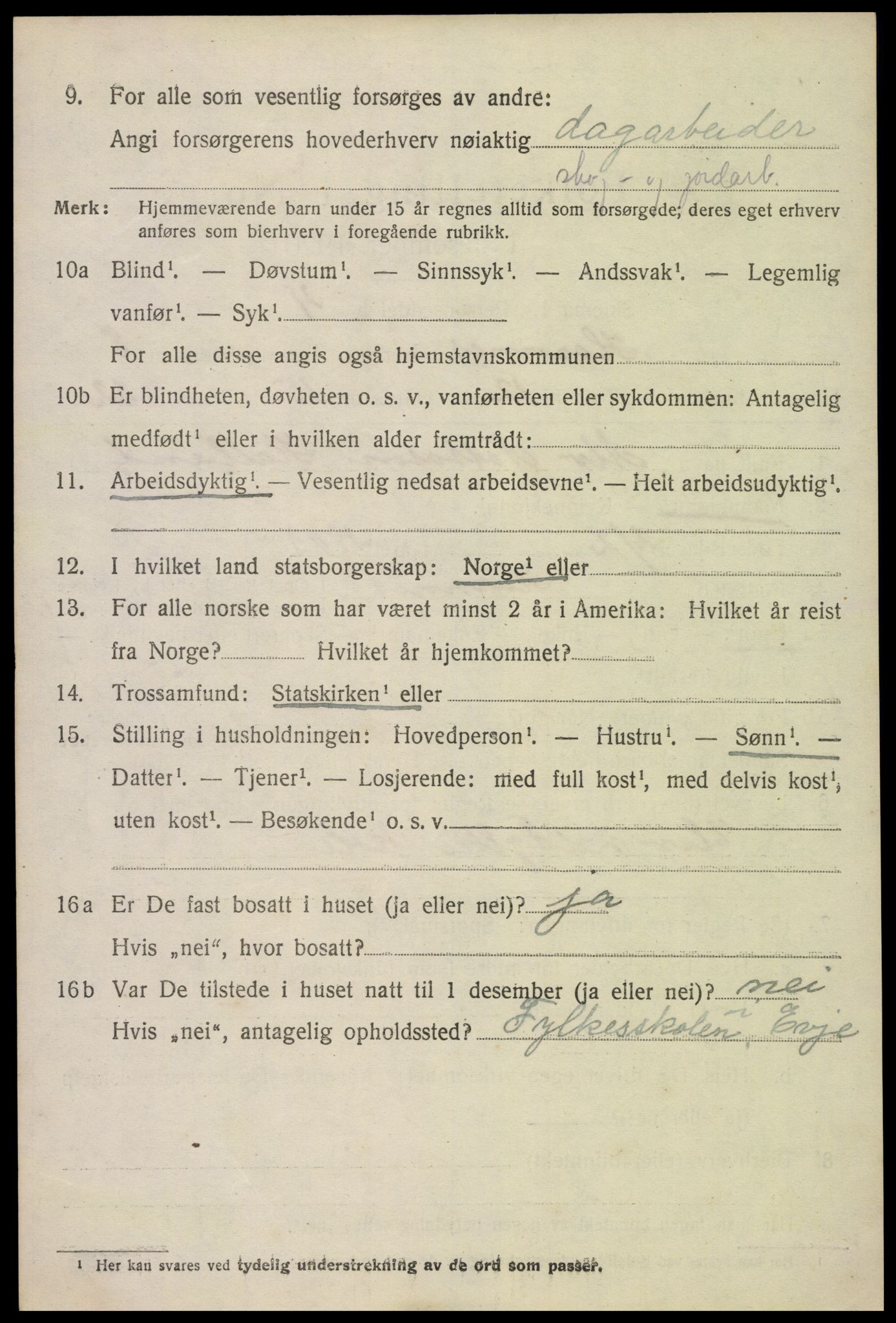 SAK, 1920 census for Hornnes, 1920, p. 2004