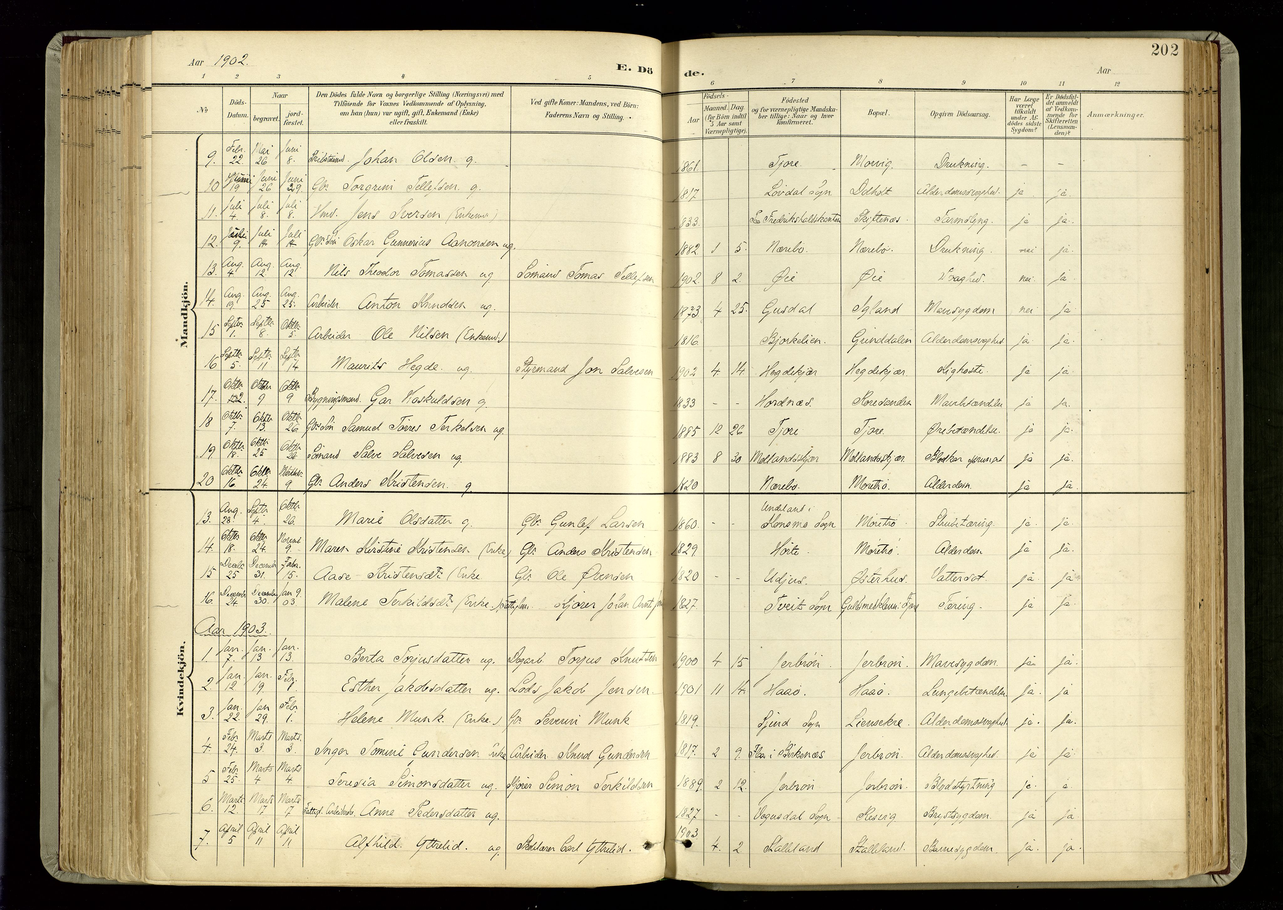 Hommedal sokneprestkontor, AV/SAK-1111-0023/F/Fa/Fab/L0007: Parish register (official) no. A 7, 1898-1924, p. 202