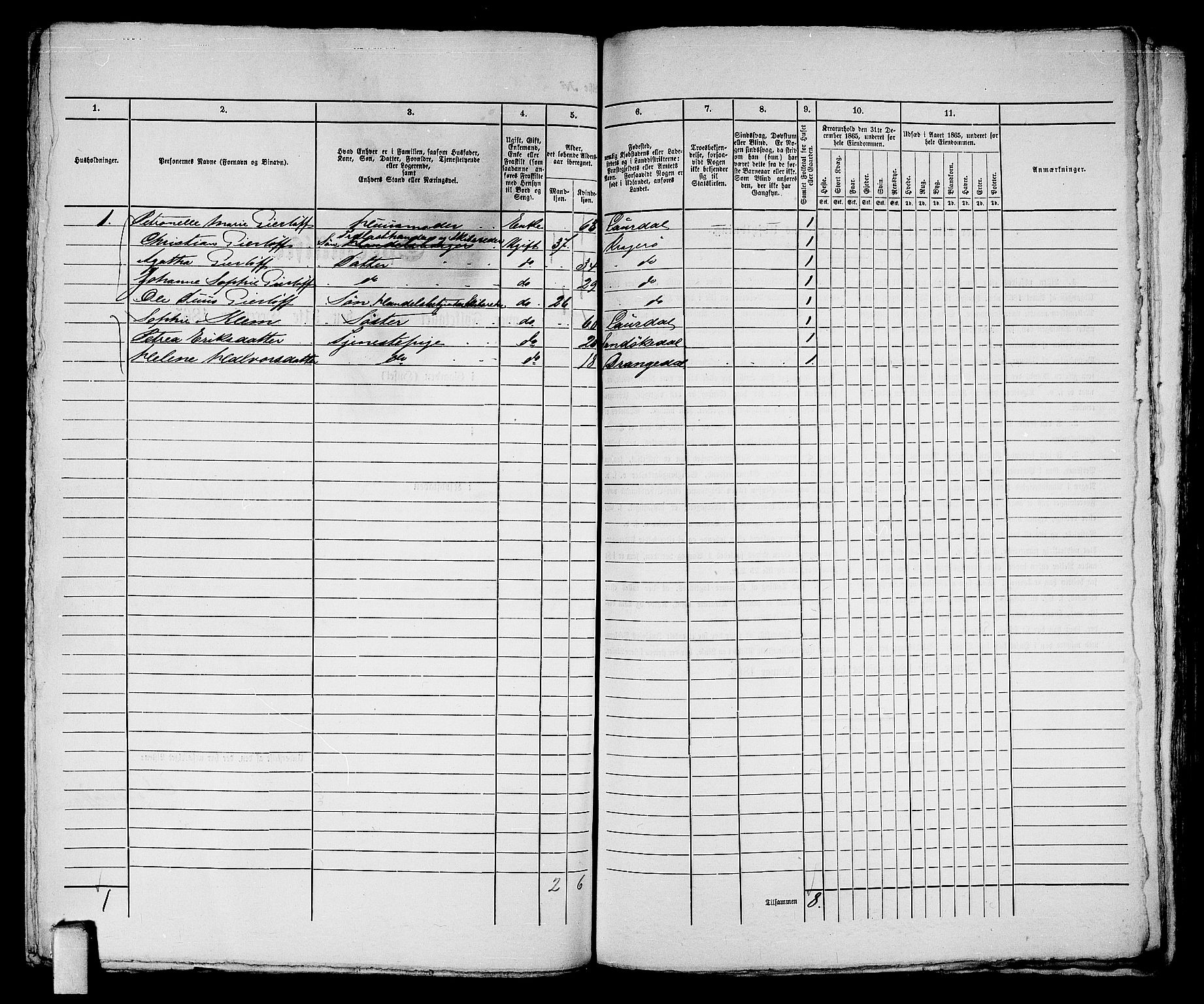 RA, 1865 census for Kragerø/Kragerø, 1865, p. 447