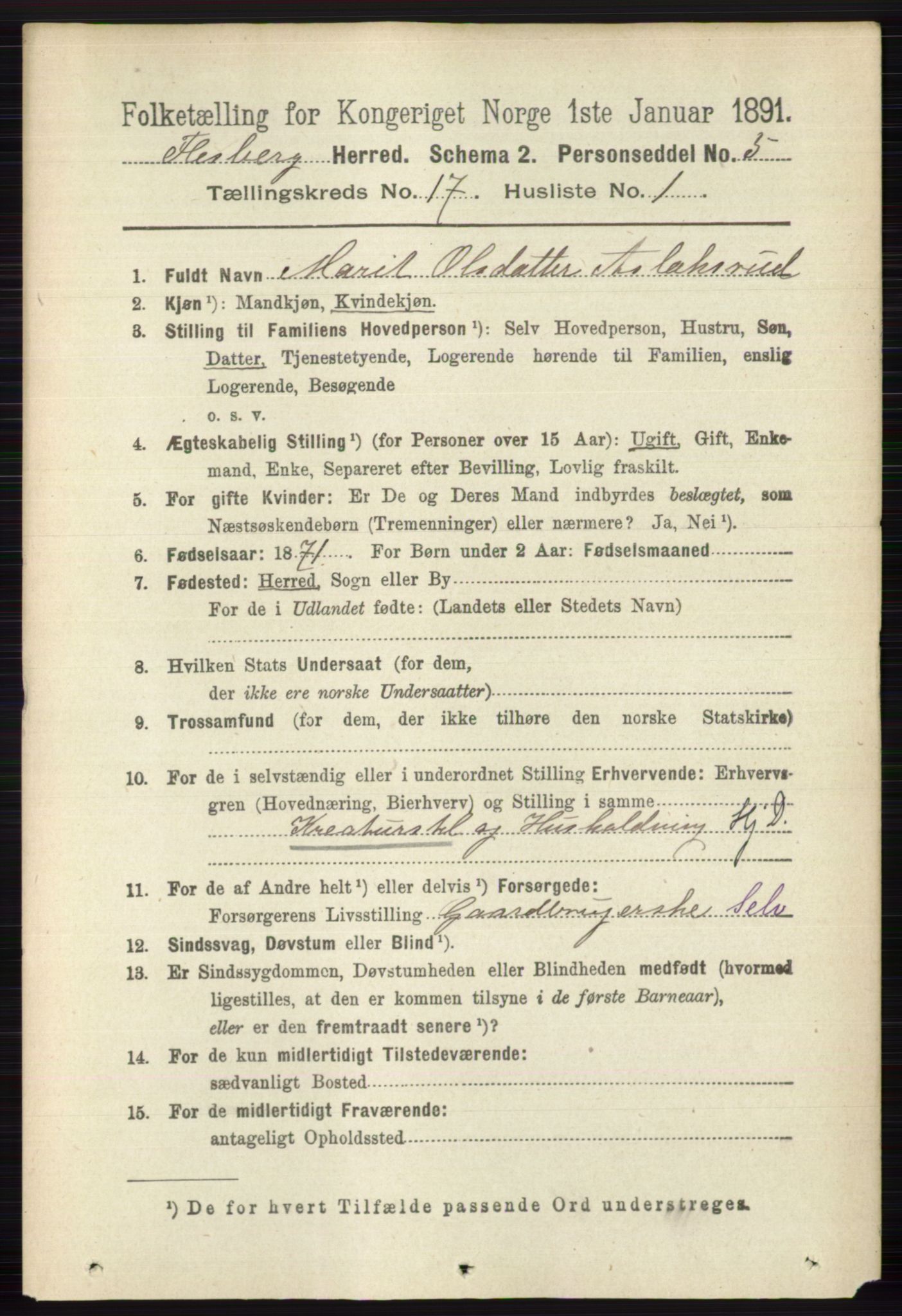 RA, 1891 census for 0631 Flesberg, 1891, p. 2991