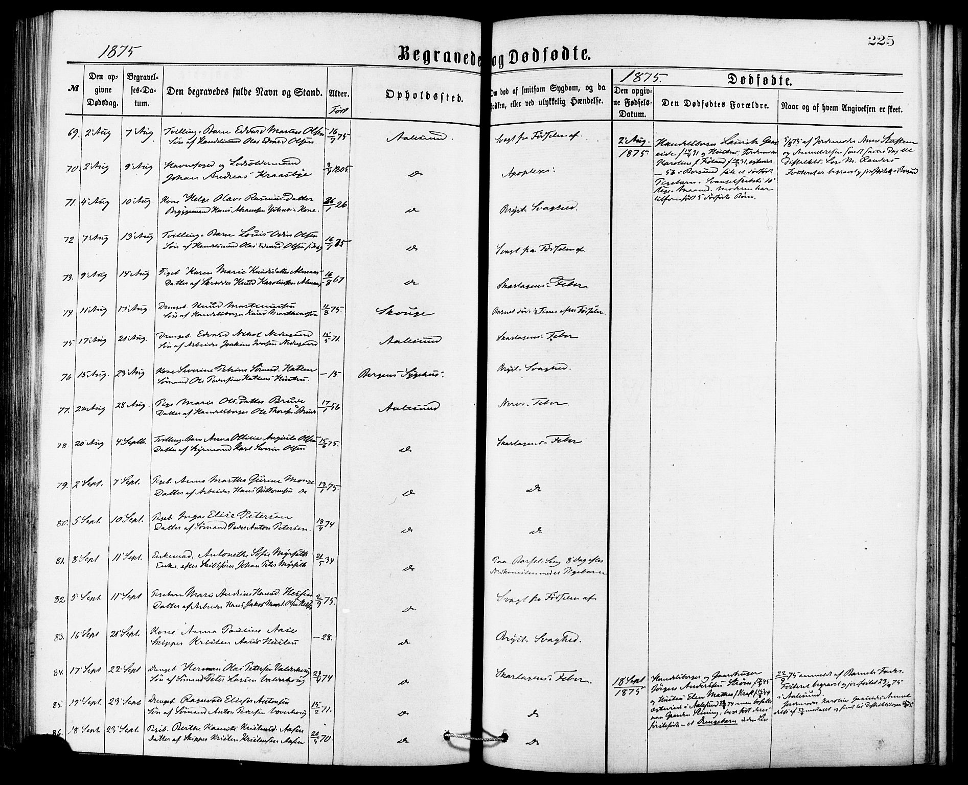 Ministerialprotokoller, klokkerbøker og fødselsregistre - Møre og Romsdal, AV/SAT-A-1454/529/L0453: Parish register (official) no. 529A03, 1872-1877, p. 225