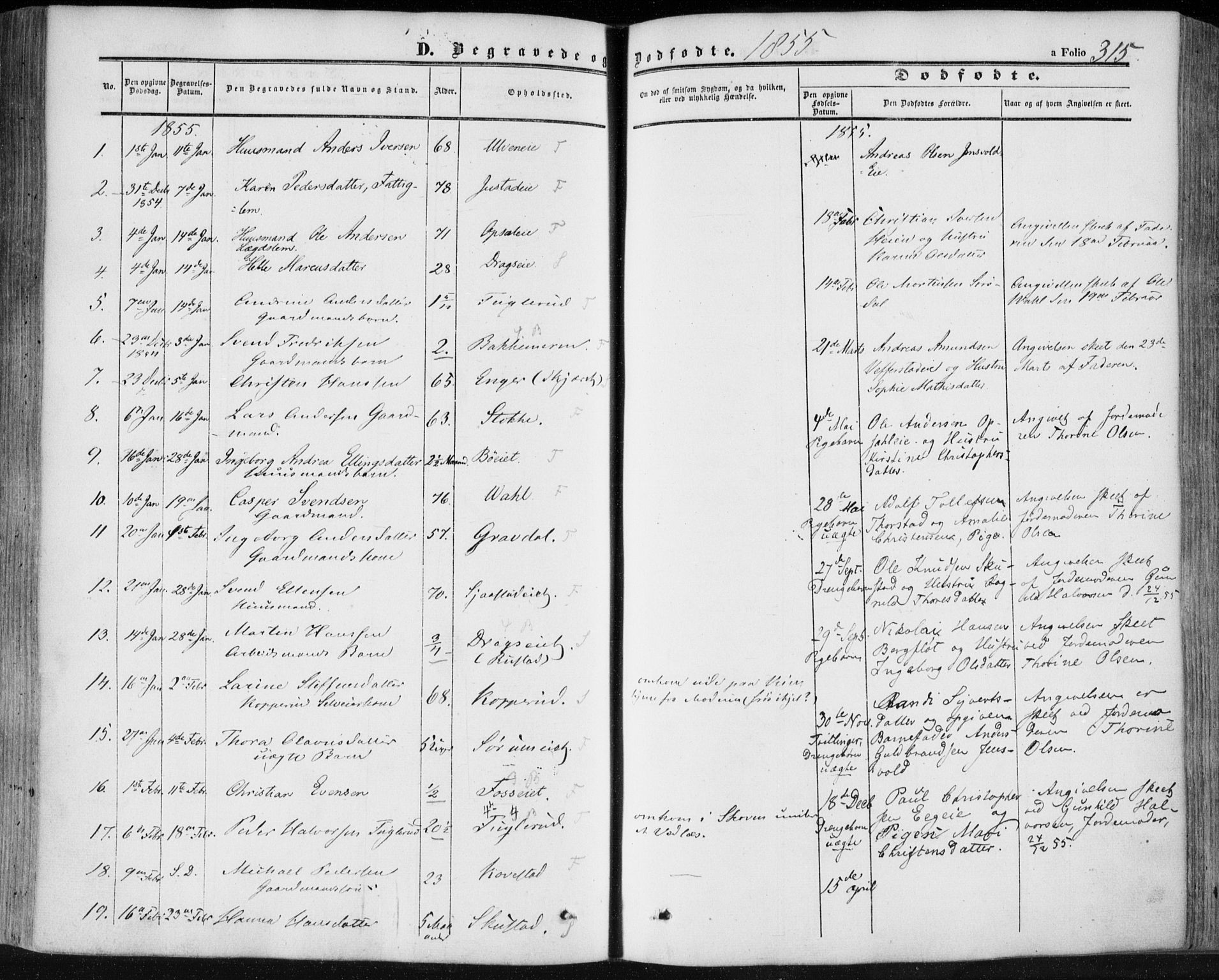 Lier kirkebøker, SAKO/A-230/F/Fa/L0012: Parish register (official) no. I 12, 1854-1864, p. 315