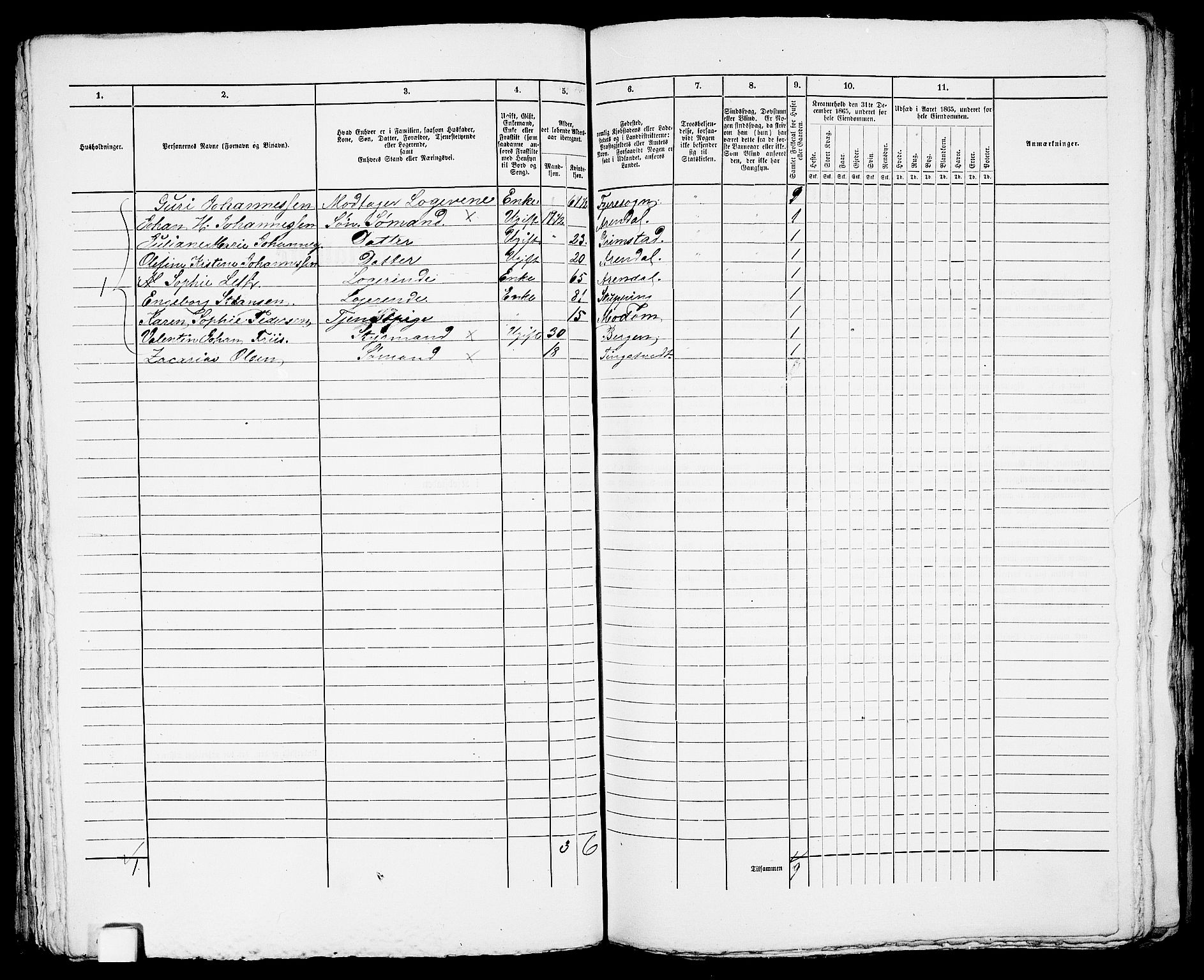 RA, 1865 census for Arendal, 1865, p. 441