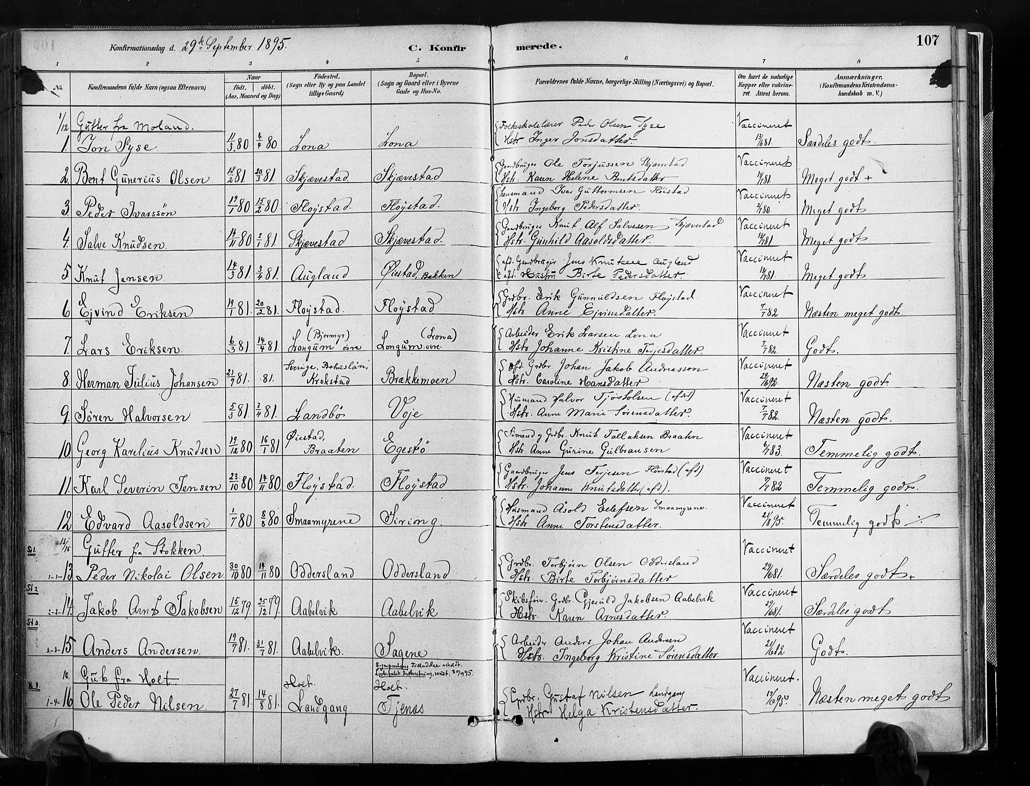Austre Moland sokneprestkontor, SAK/1111-0001/F/Fa/Faa/L0010: Parish register (official) no. A 10, 1880-1904, p. 107
